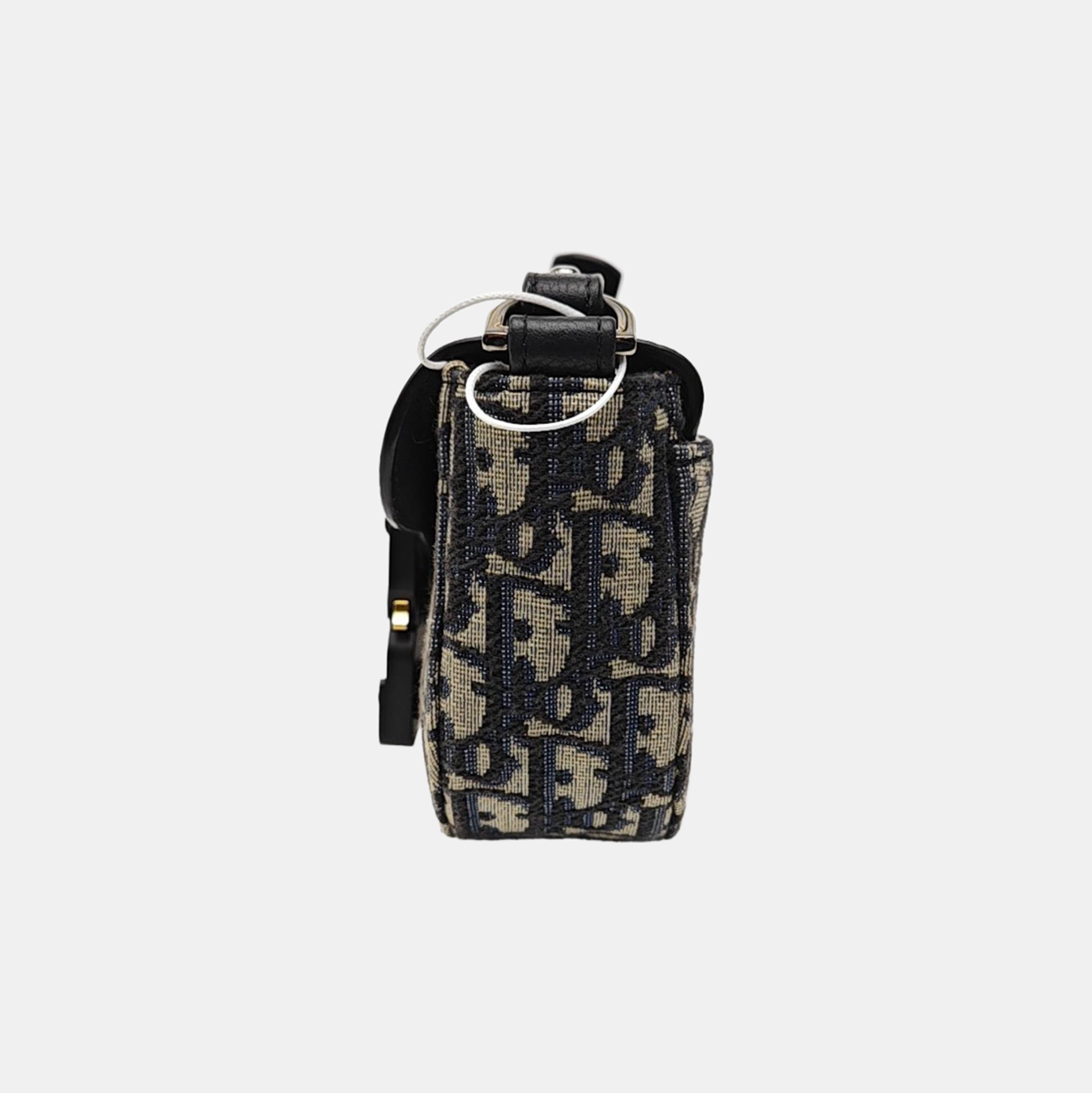 Saddle Mini Oblique Canvas Beige