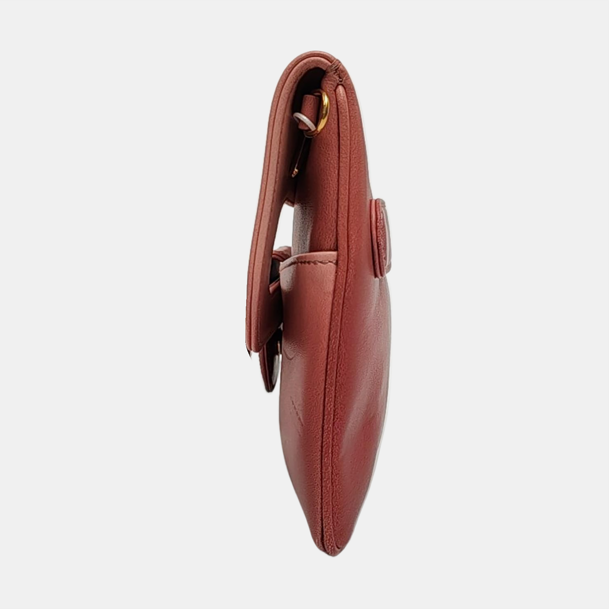 Diordouble Medium Calfskin Multicolor