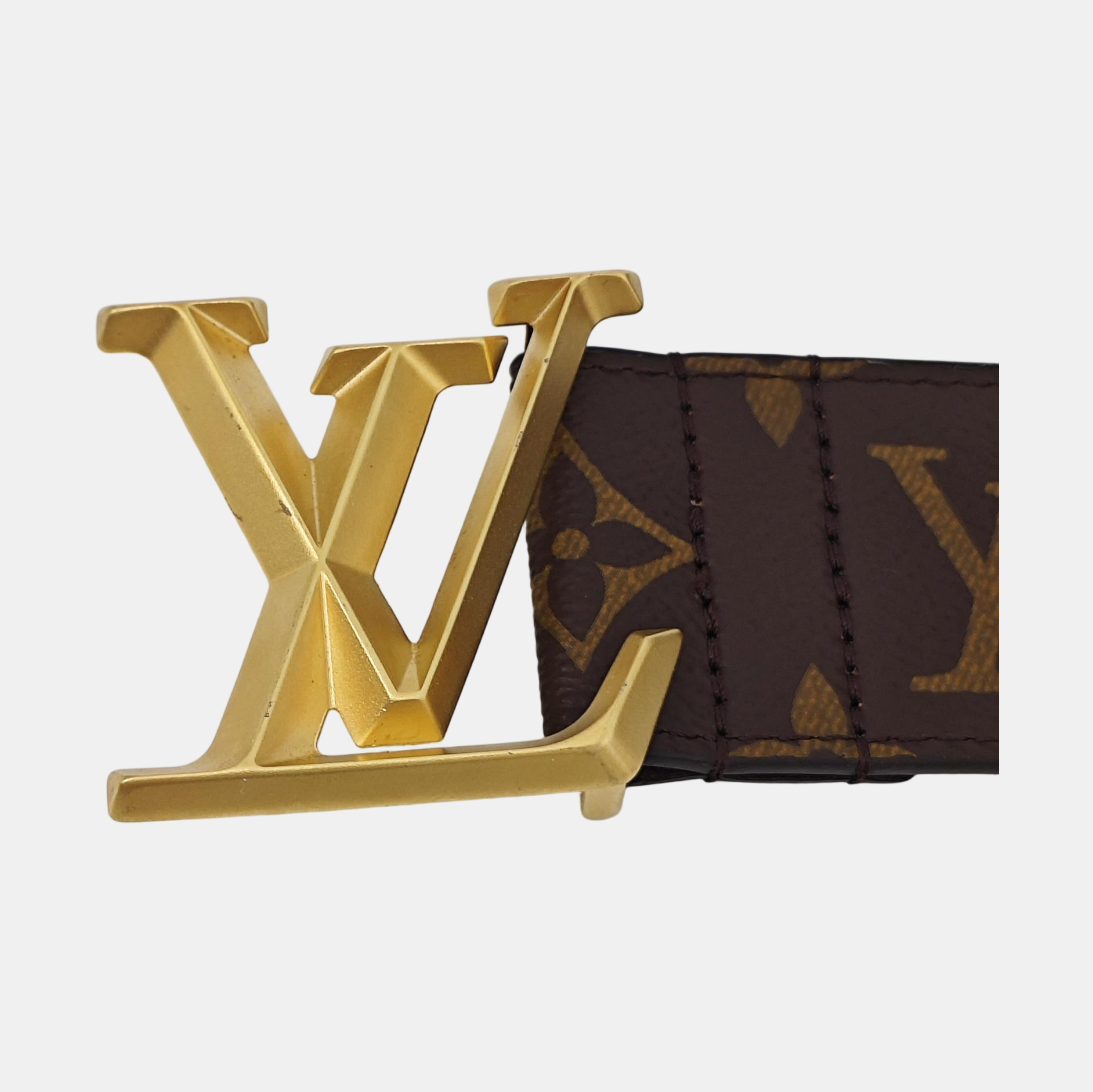 Coated Canvas Belt Brown