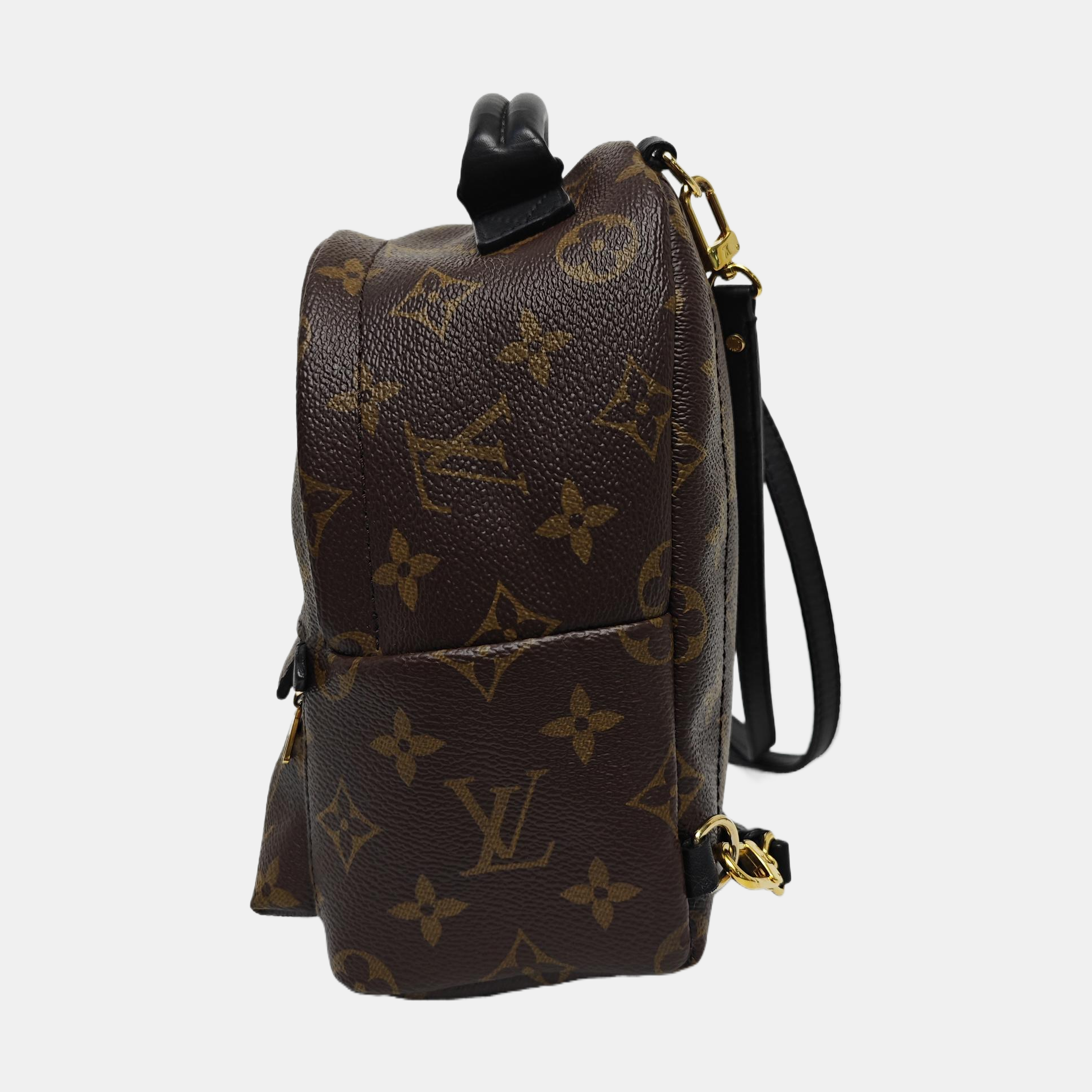 PALM SPRINGS Mini Monogram Coated Canvas Brown
