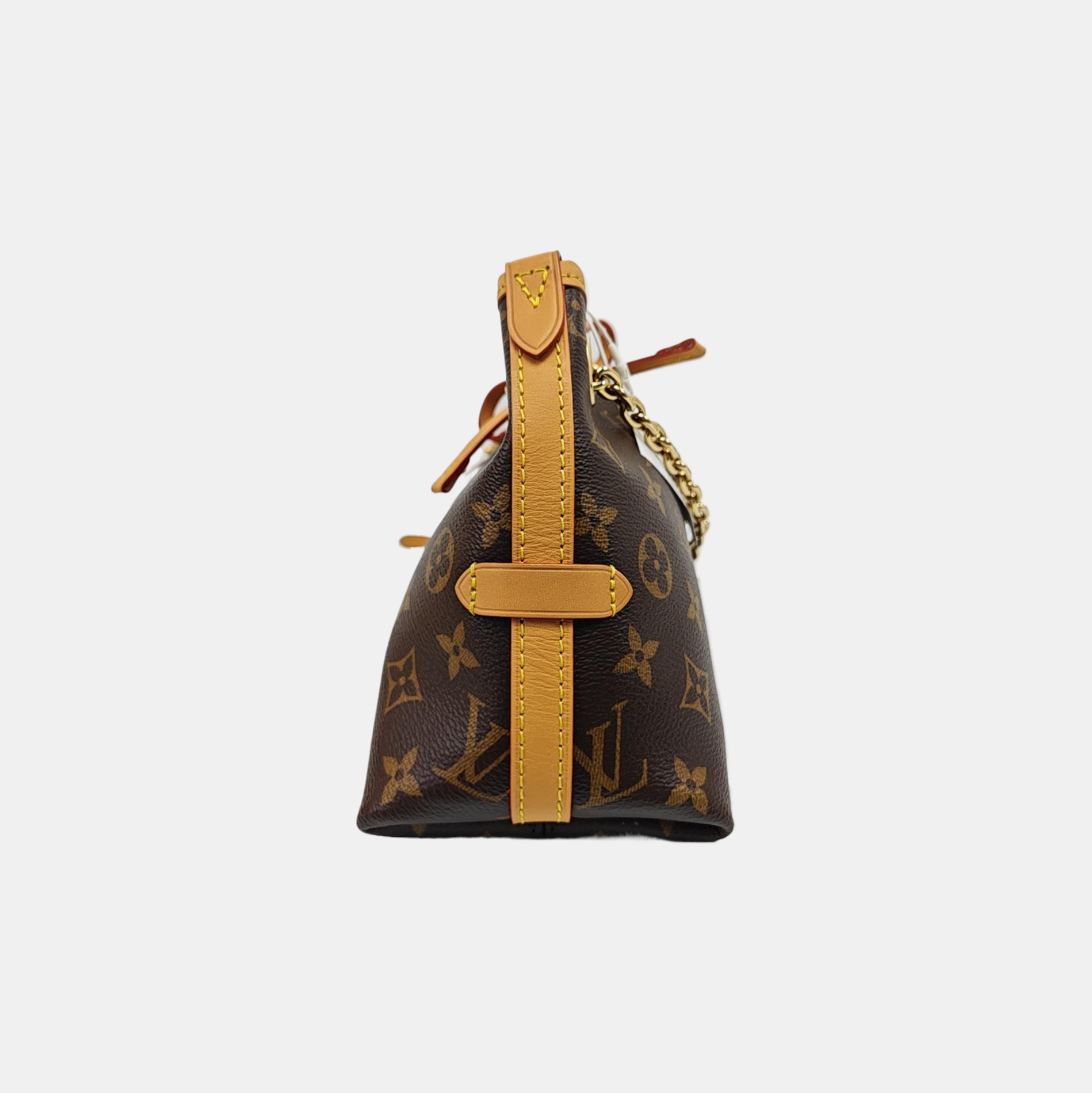 CARRYALL BB Monogram Coated Canvas Brown