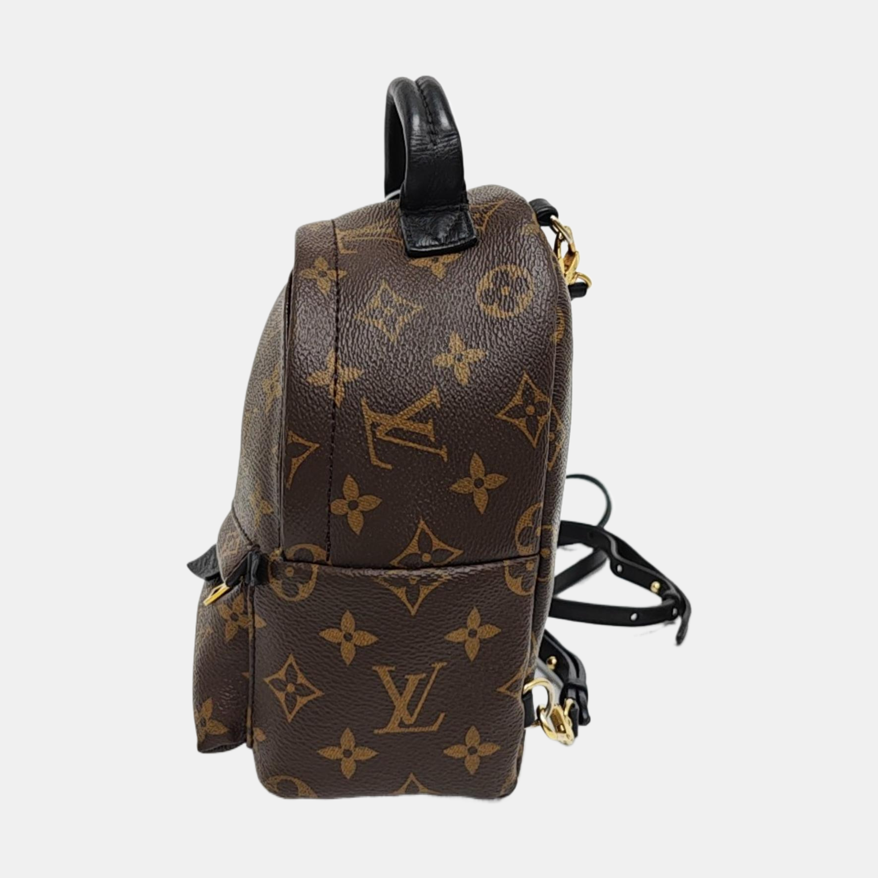 PALM SPRINGS Mini Monogram Coated Canvas Brown