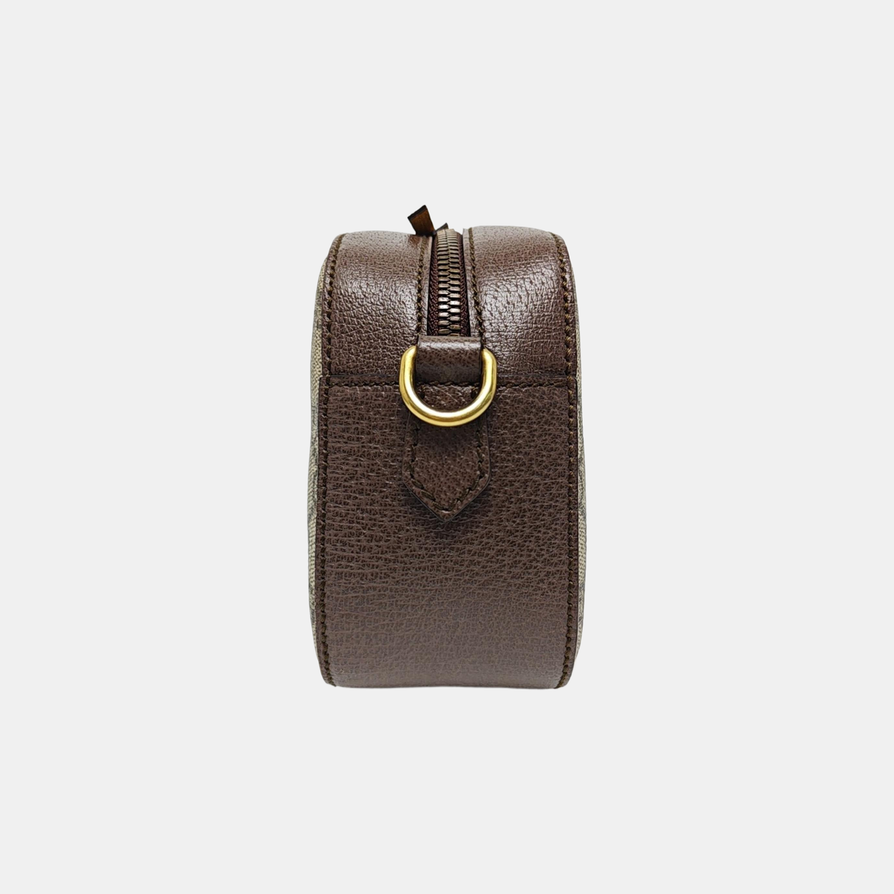 Neo Vintage Monogram Coated Canvas Beige