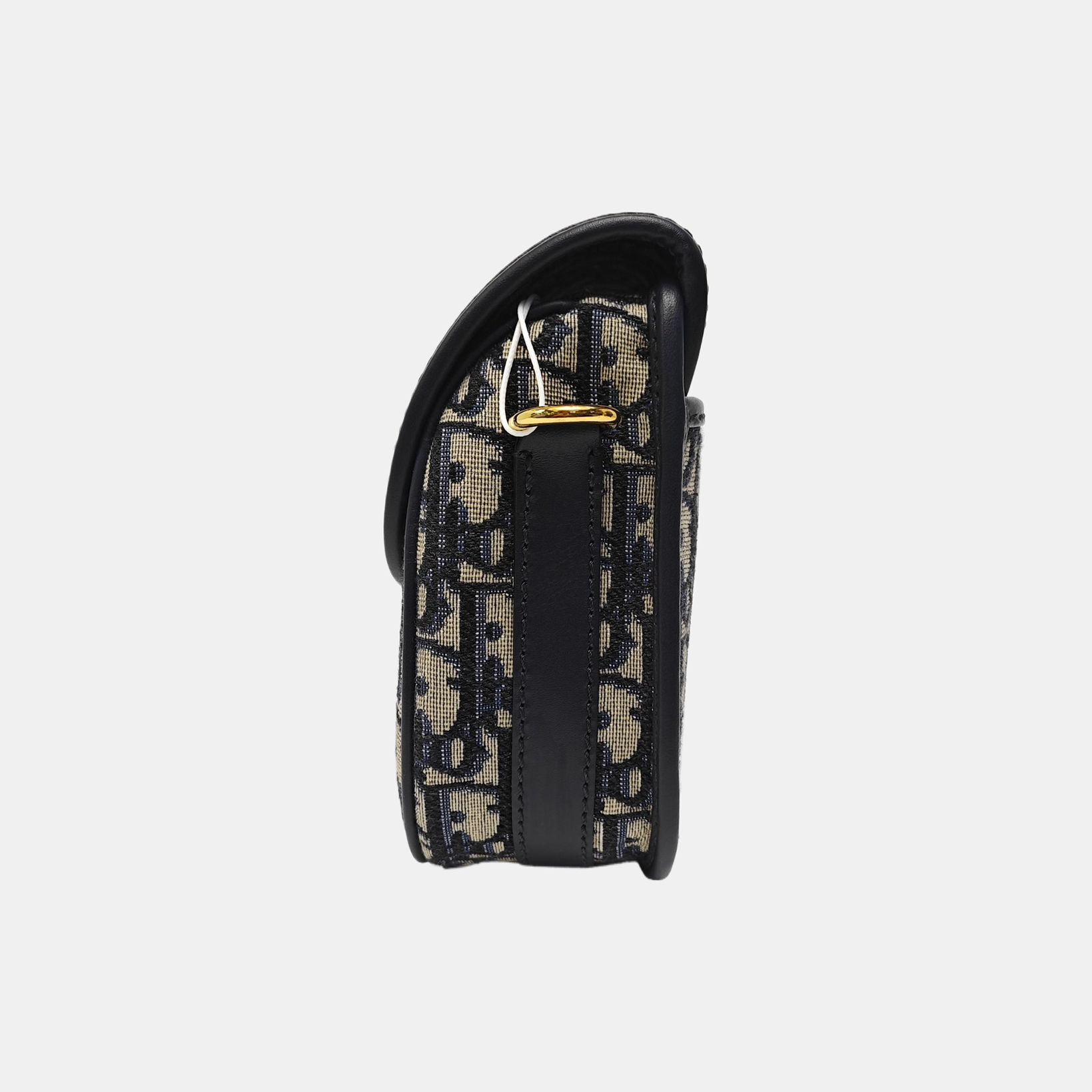Bobby East-West Medium Oblique Canvas Blue