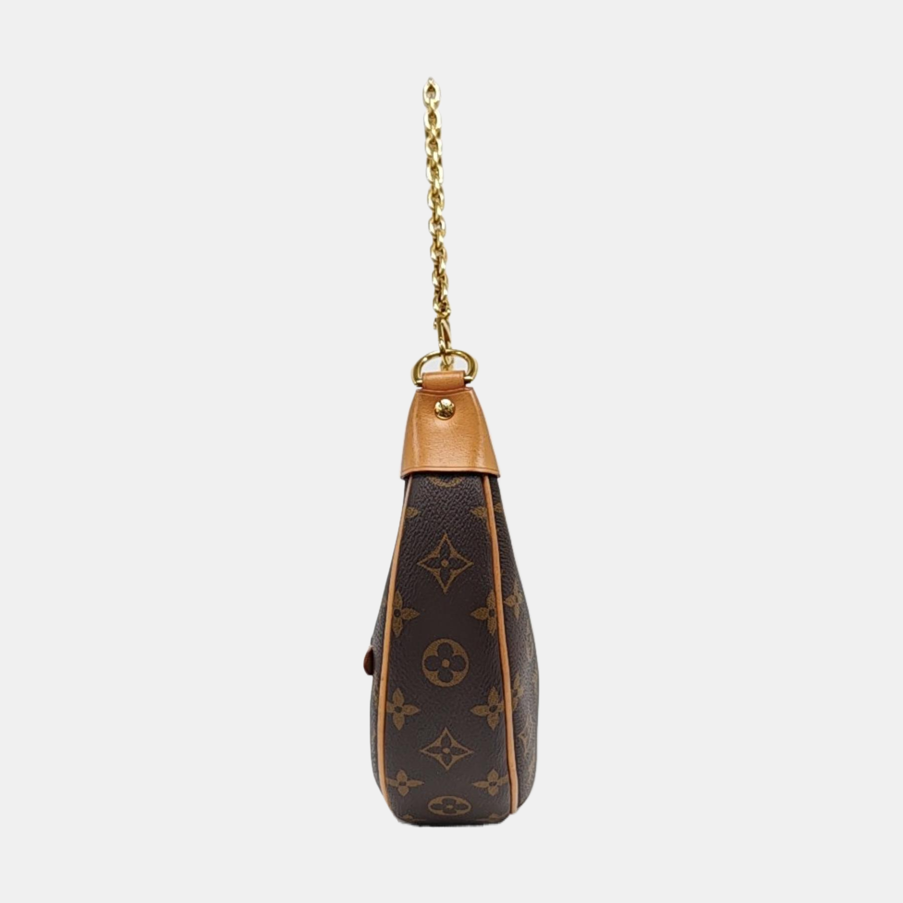 LOOP Monogram Coated Canvas Brown