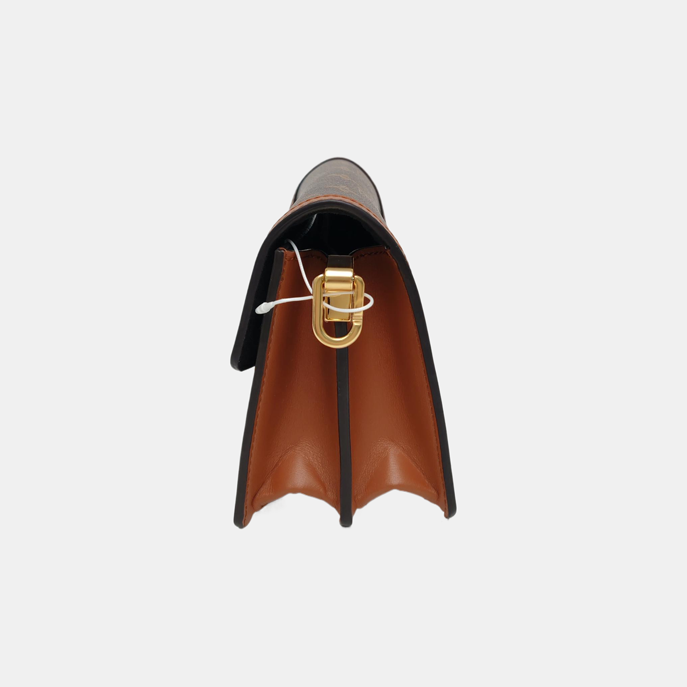 DAUPHINE Mini Monogram Coated Canvas Brown