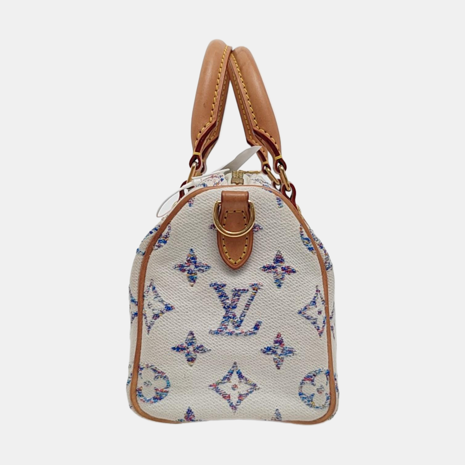 SPEEDY 20 Monogram Canvas Beige