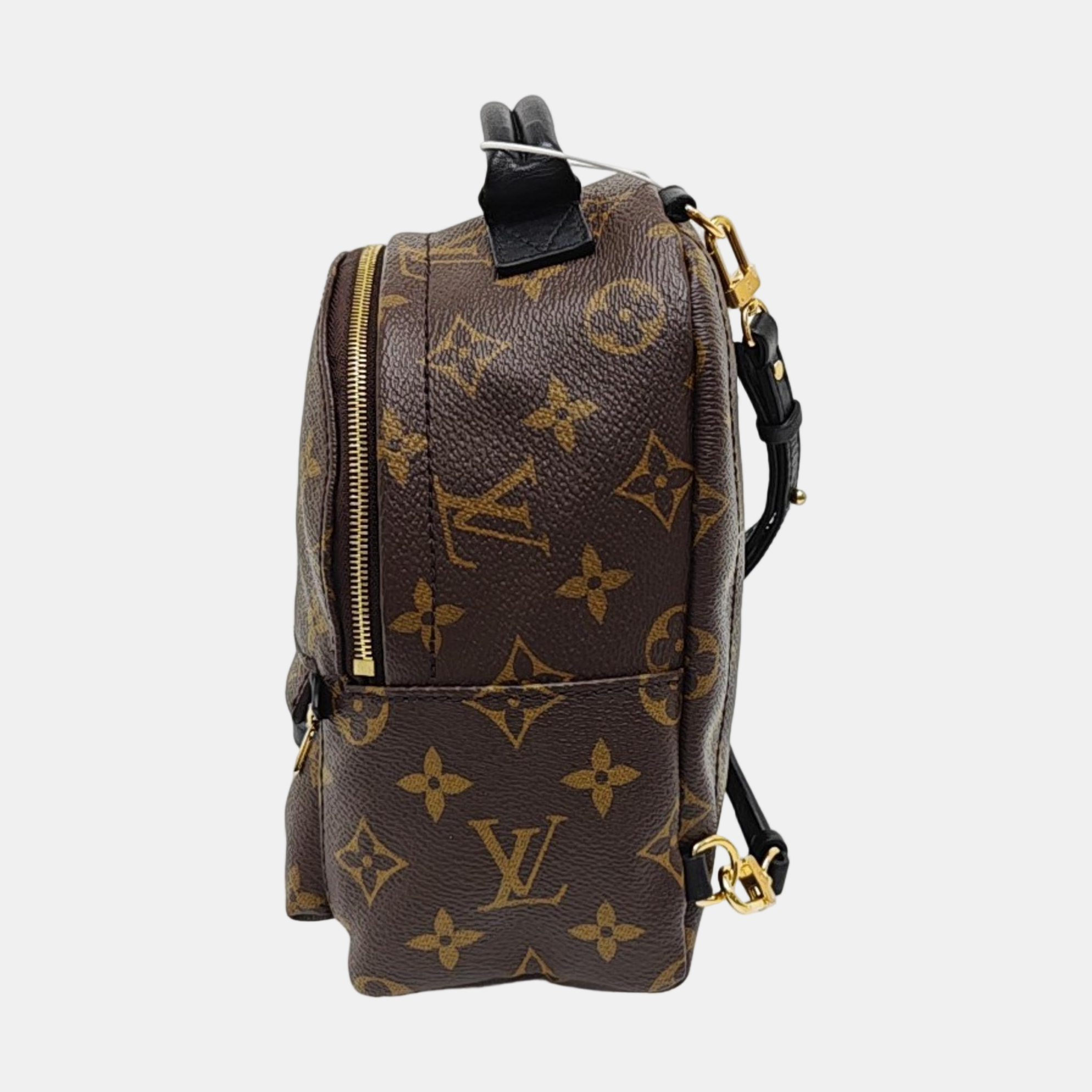 PALM SPRINGS Mini Monogram Coated Canvas Brown