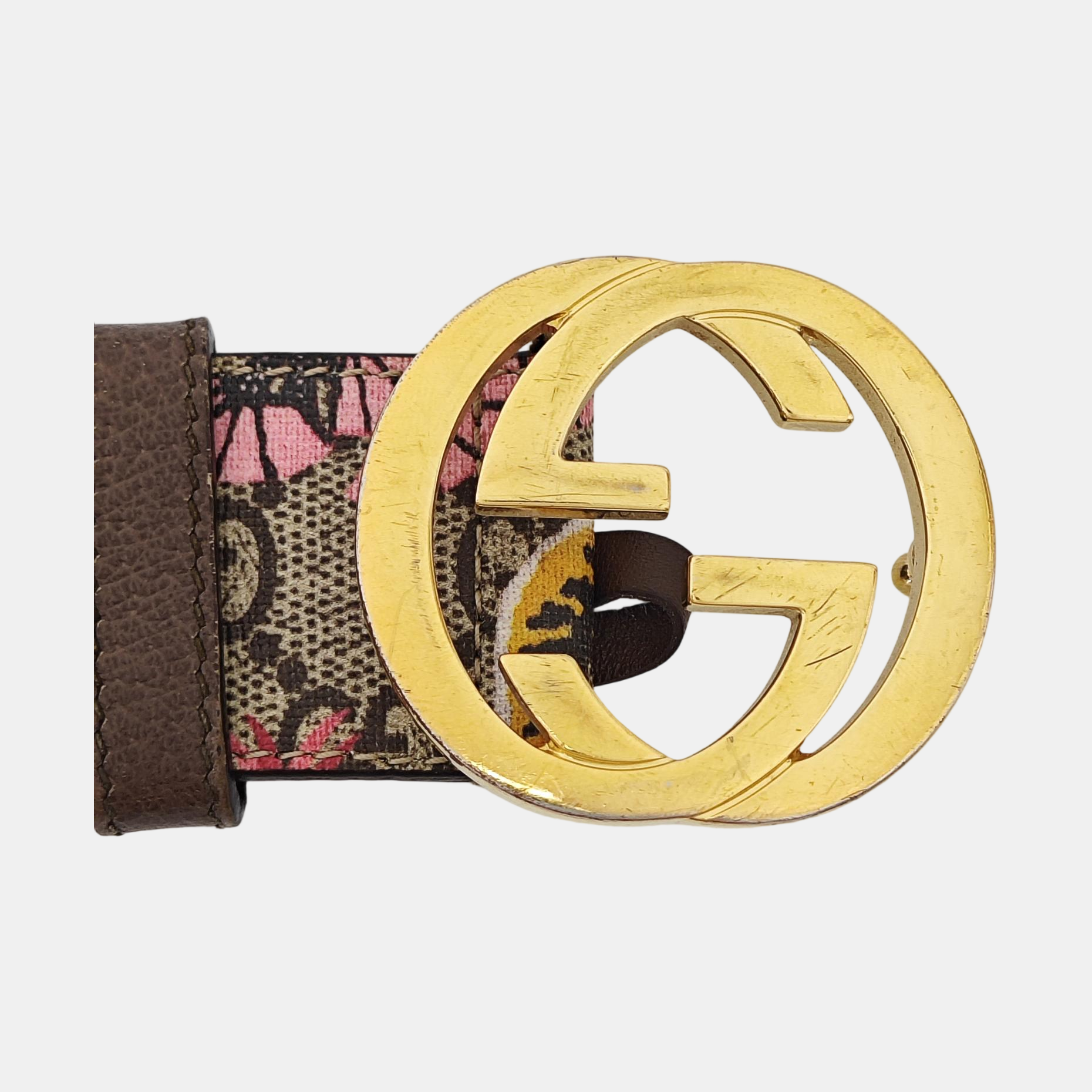 Coated Canvas Belt Brown