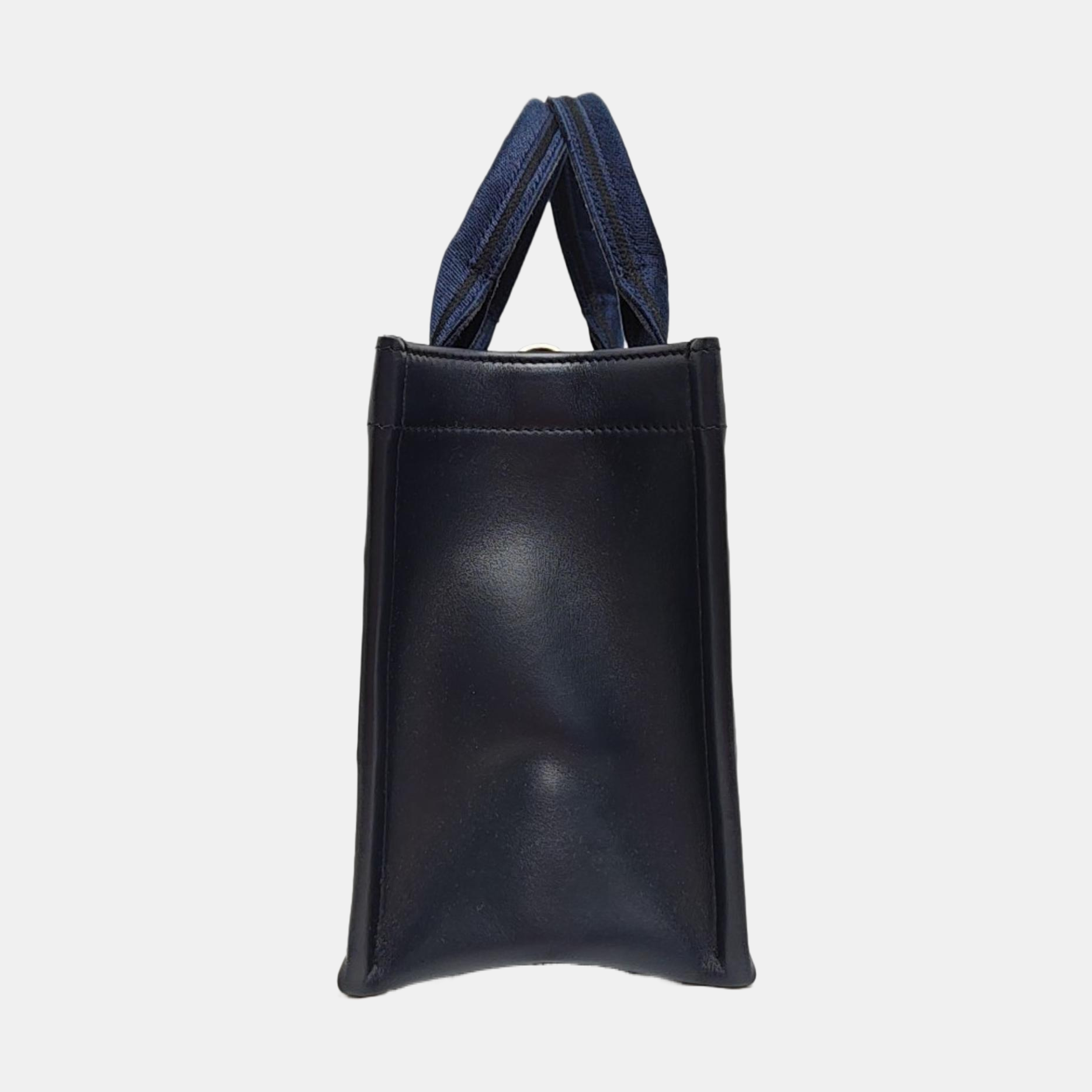 Book Tote Small Canvas Blue