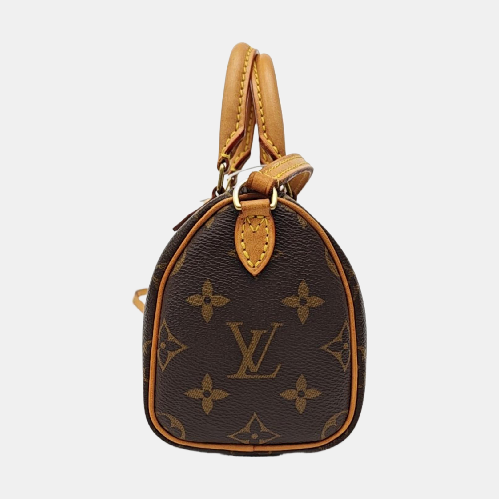 SPEEDY Nano Monogram Coated Canvas Brown