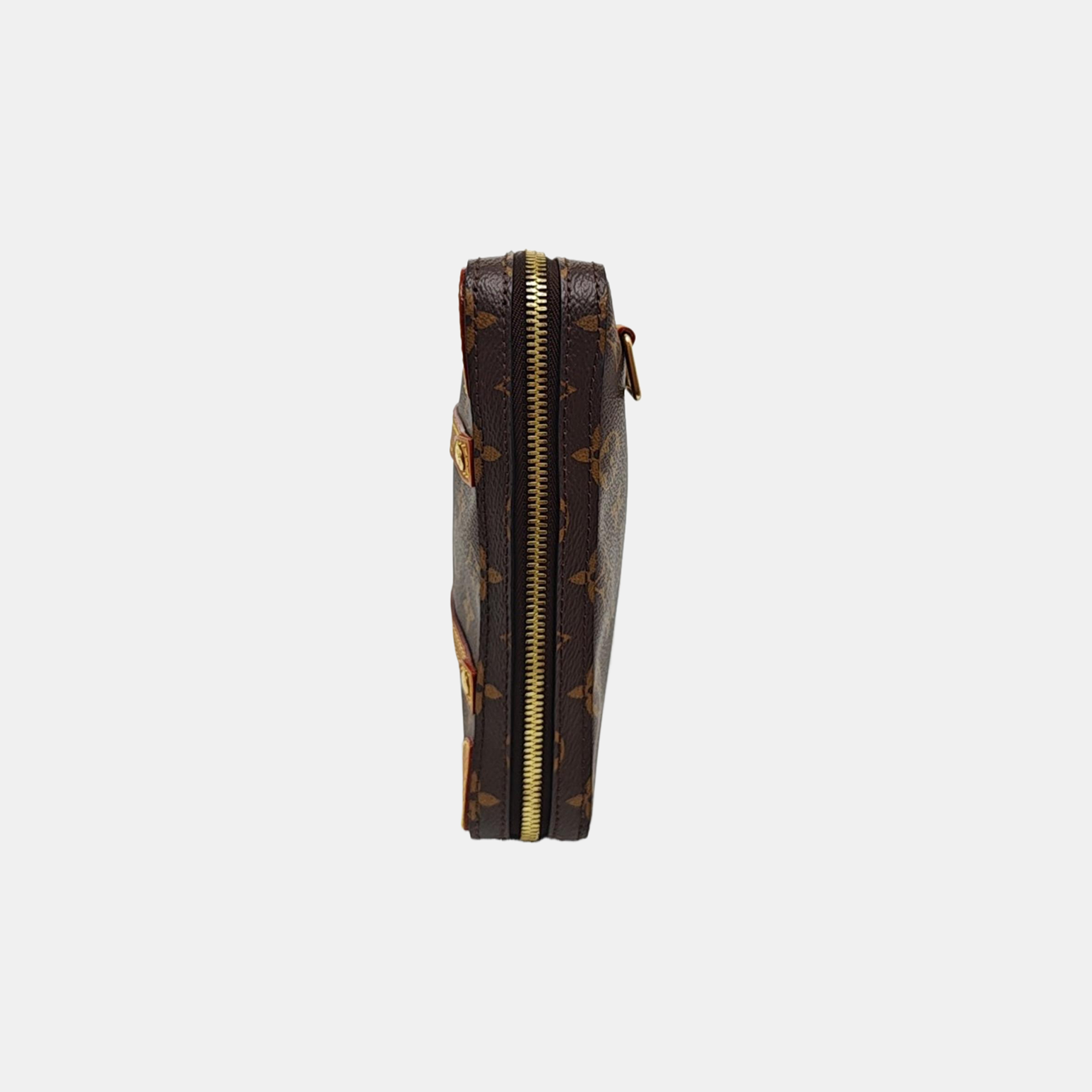 SOFT TRUNK PM Monogram Coated Canvas Brown