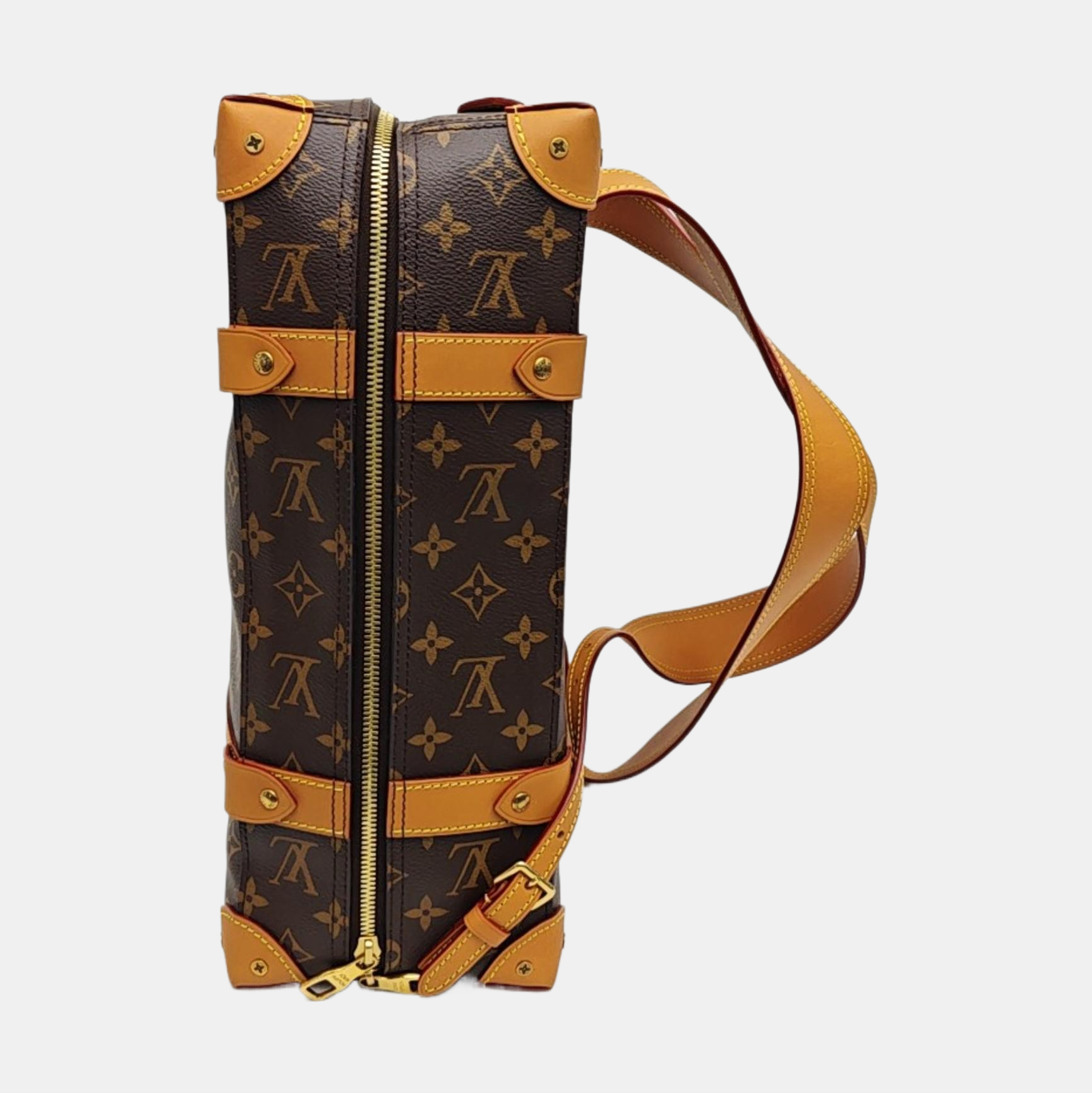 SOFT TRUNK PM Monogram Coated Canvas Brown