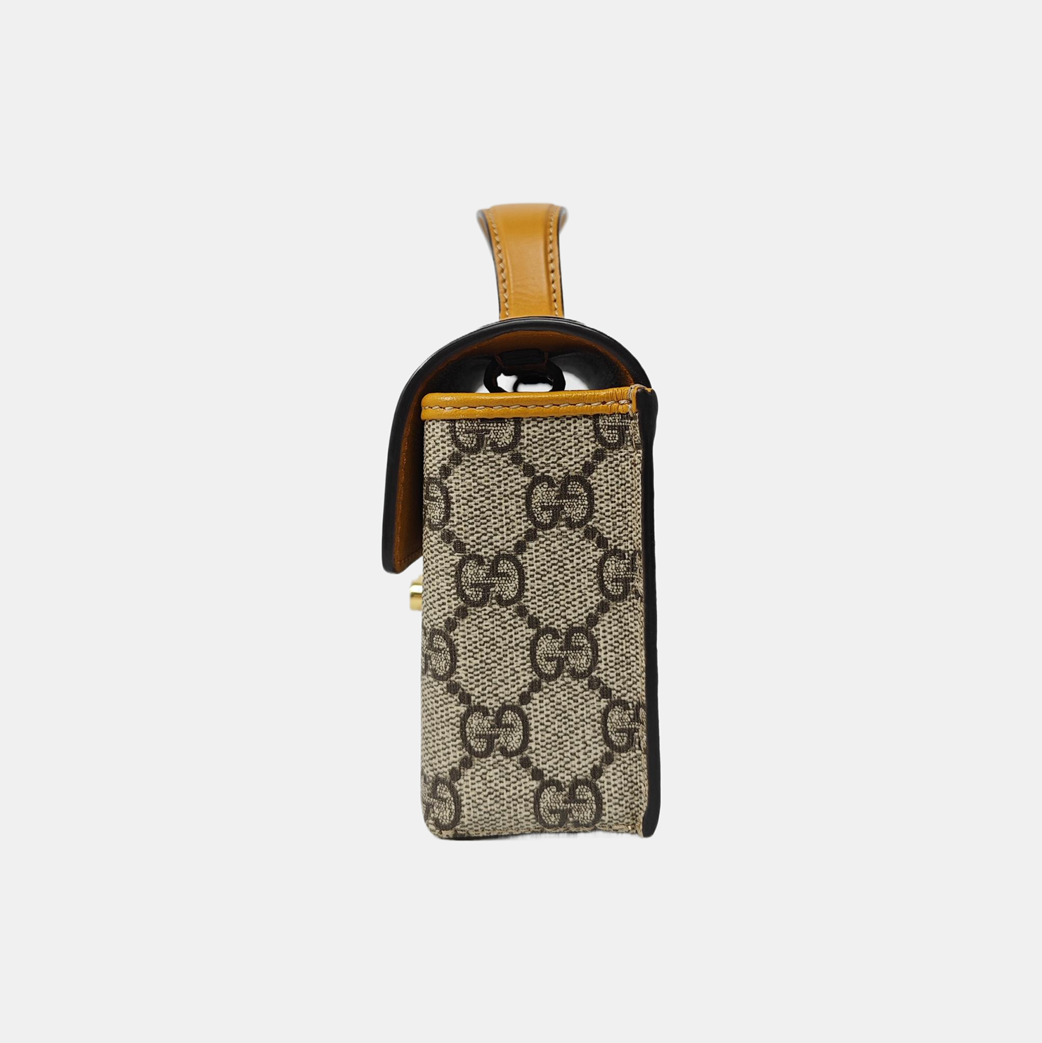 Padlock Mini Monogram Coated Canvas Multicolor