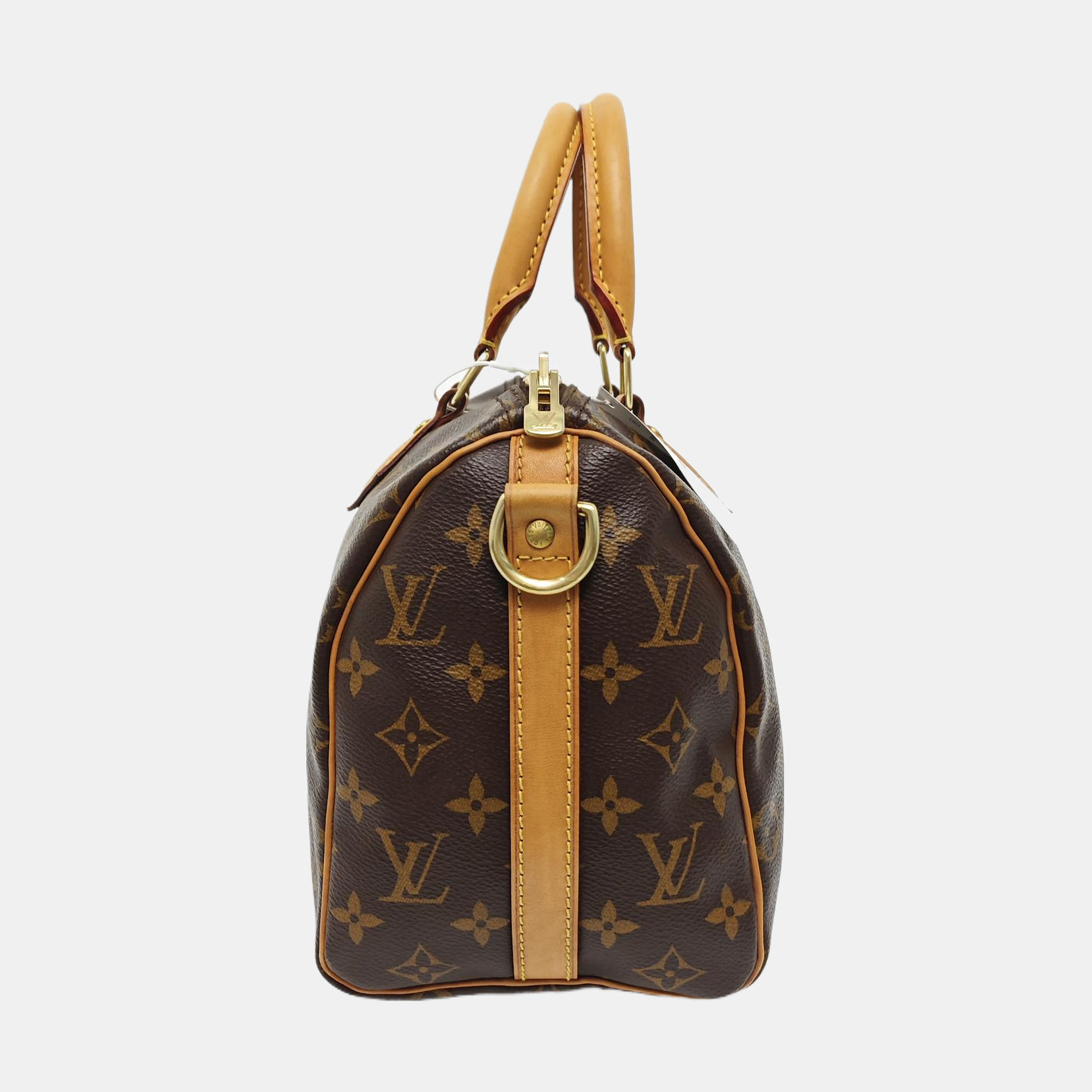 SPEEDY 25 Monogram Coated Canvas Brown