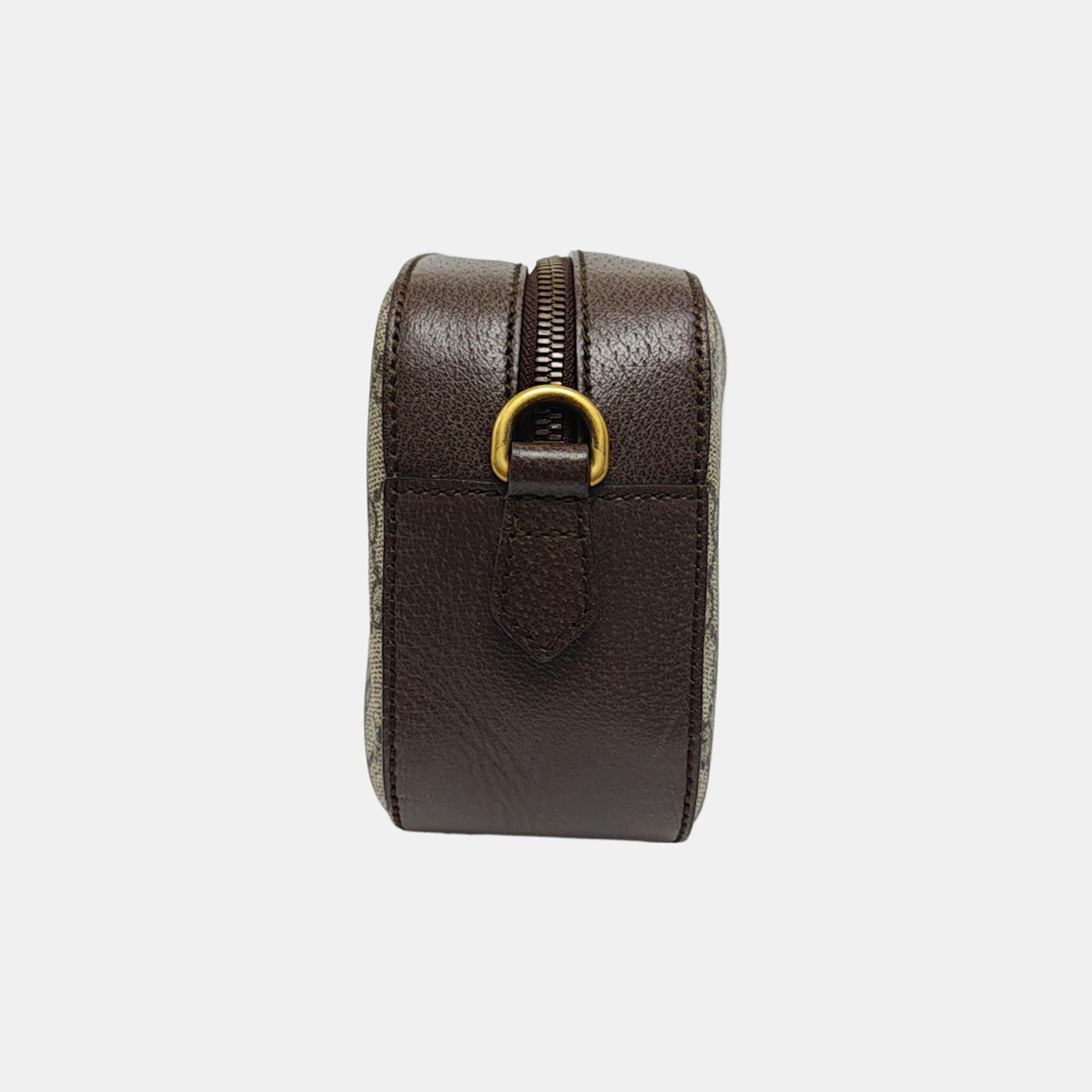 Neo Vintage Monogram Coated Canvas Beige