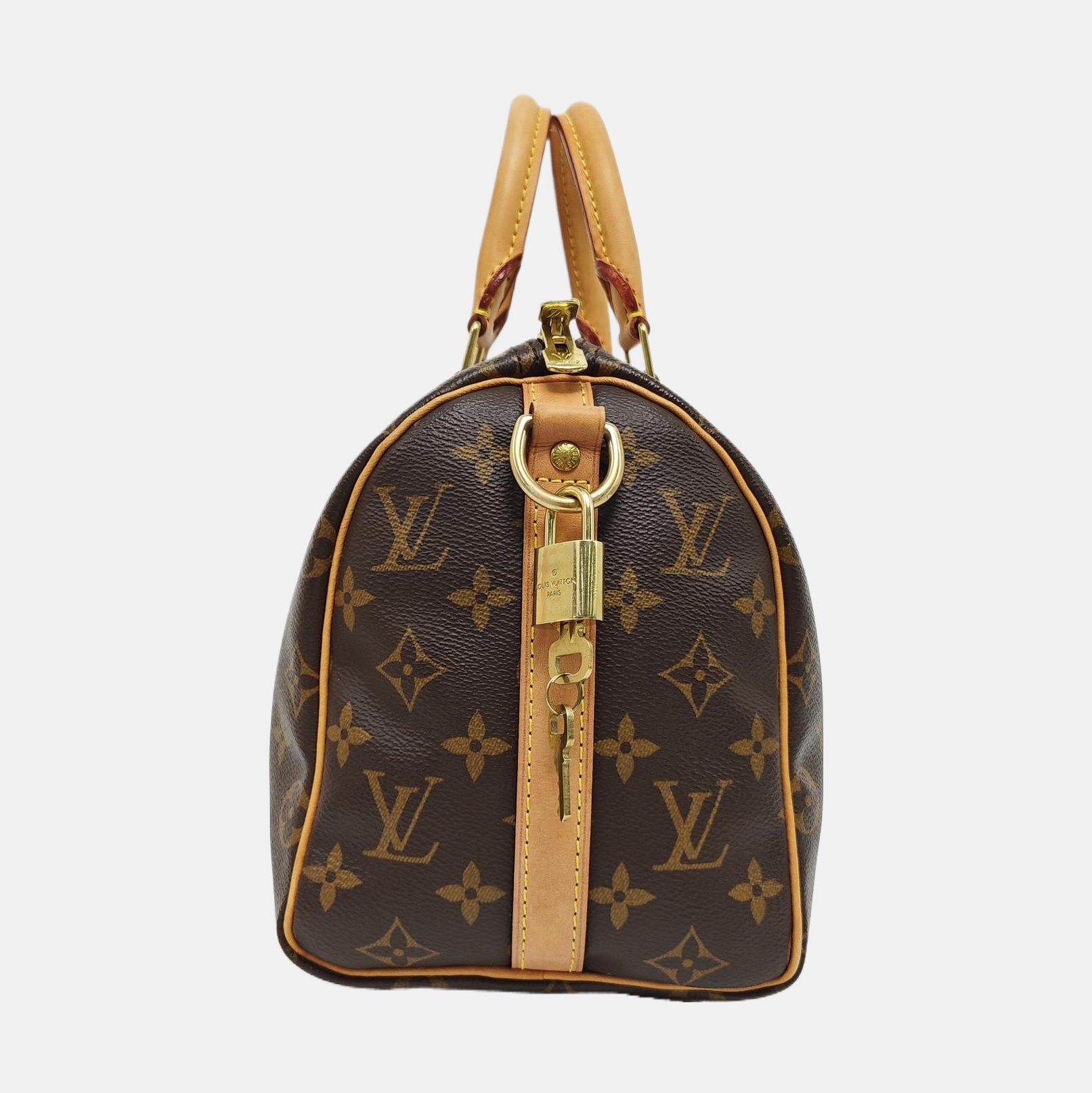 SPEEDY 25 Monogram Coated Canvas Brown