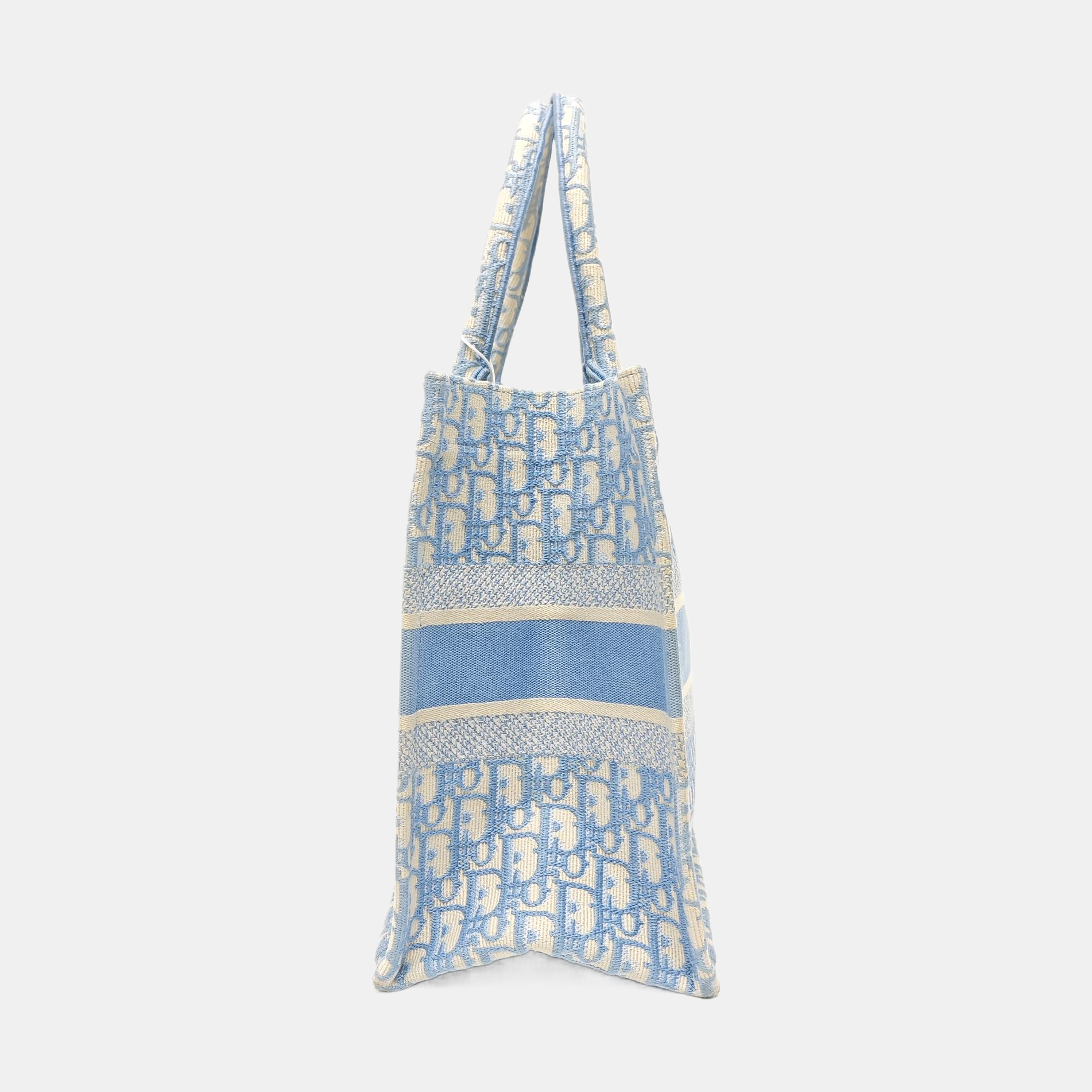 Book Tote Medium Oblique Canvas Blue