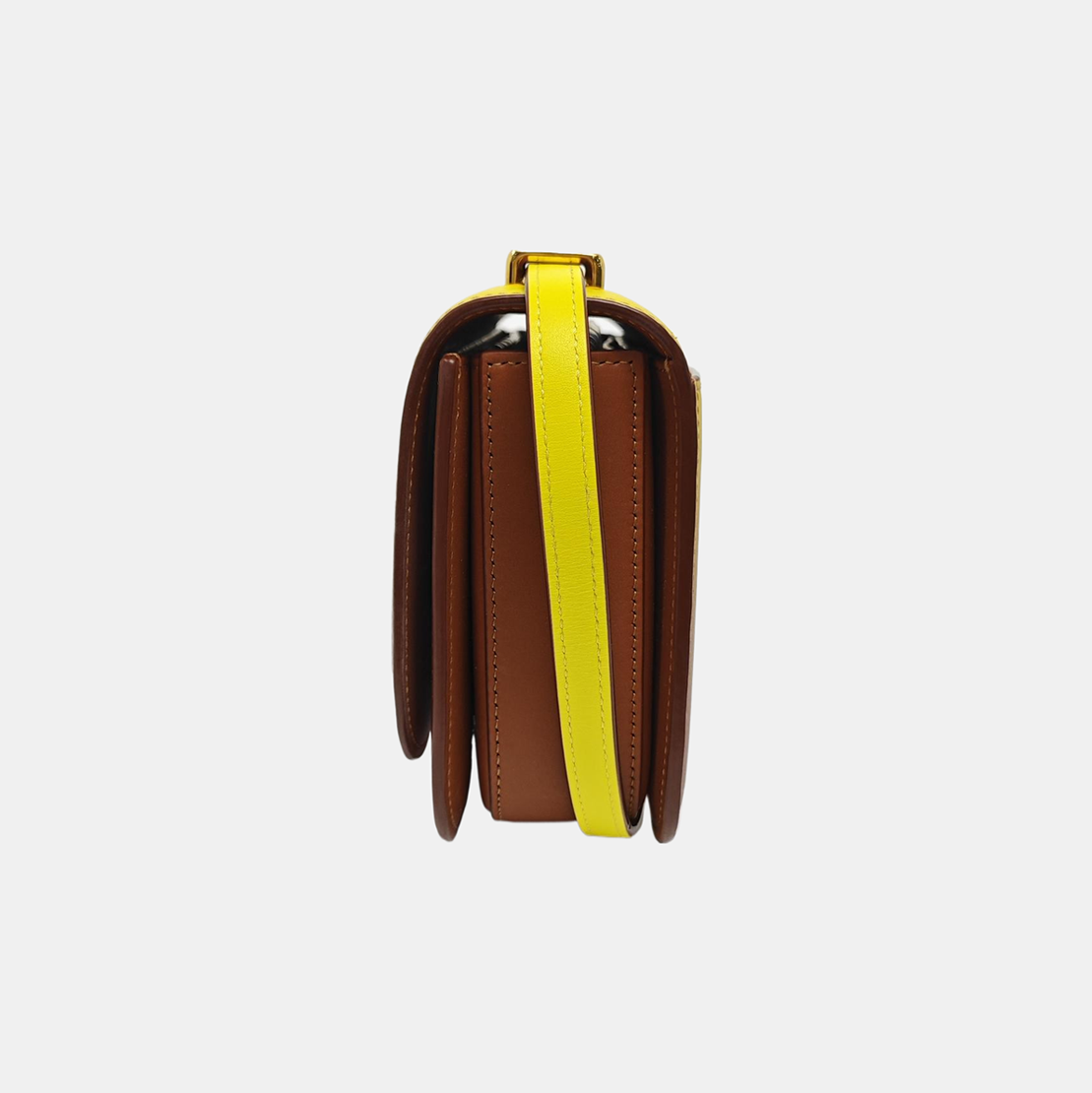 Goya Small Calfskin Multicolor