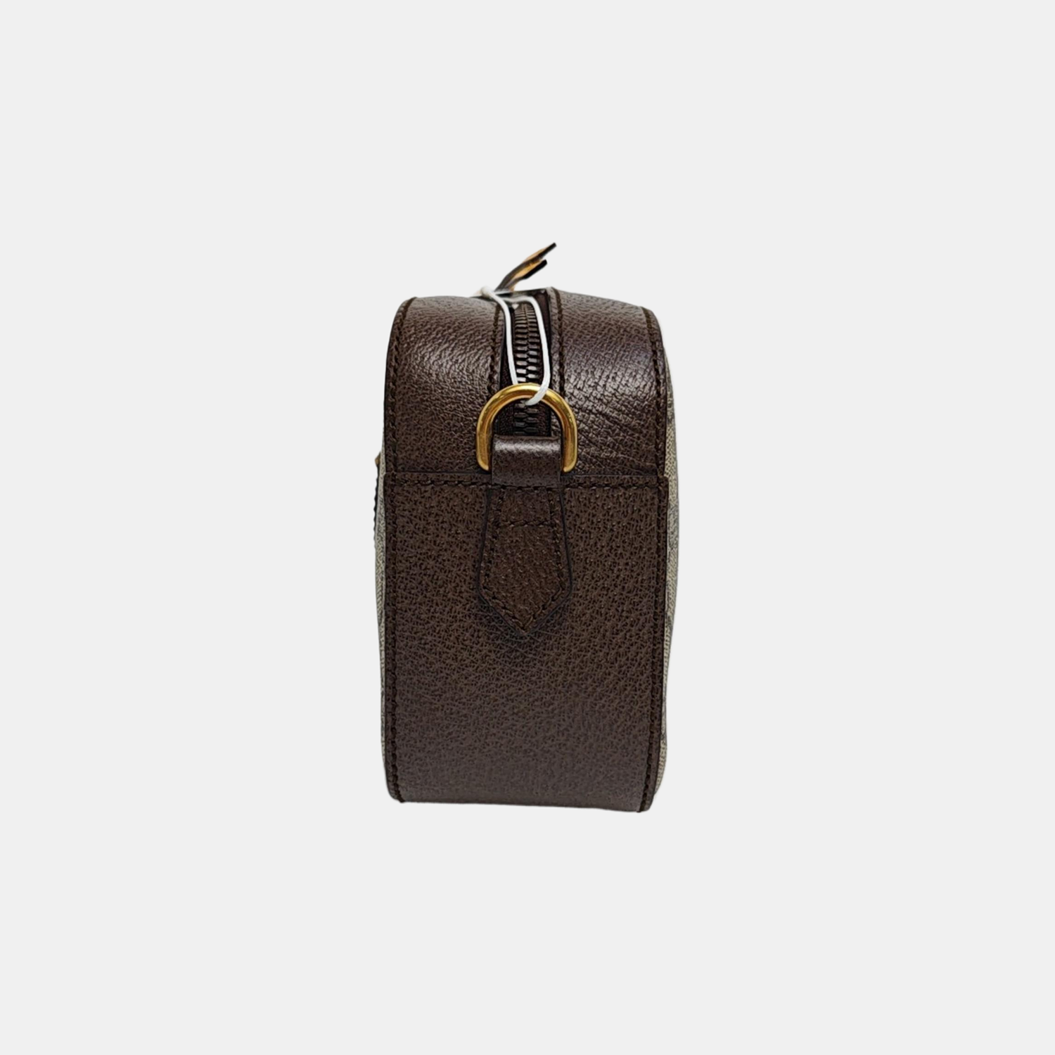 Neo Vintage Monogram Coated Canvas Beige