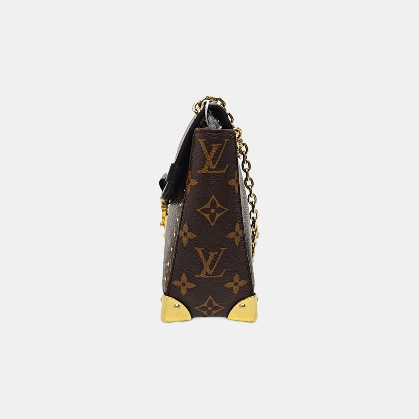 TRUNKIE Monogram Coated Canvas Brown