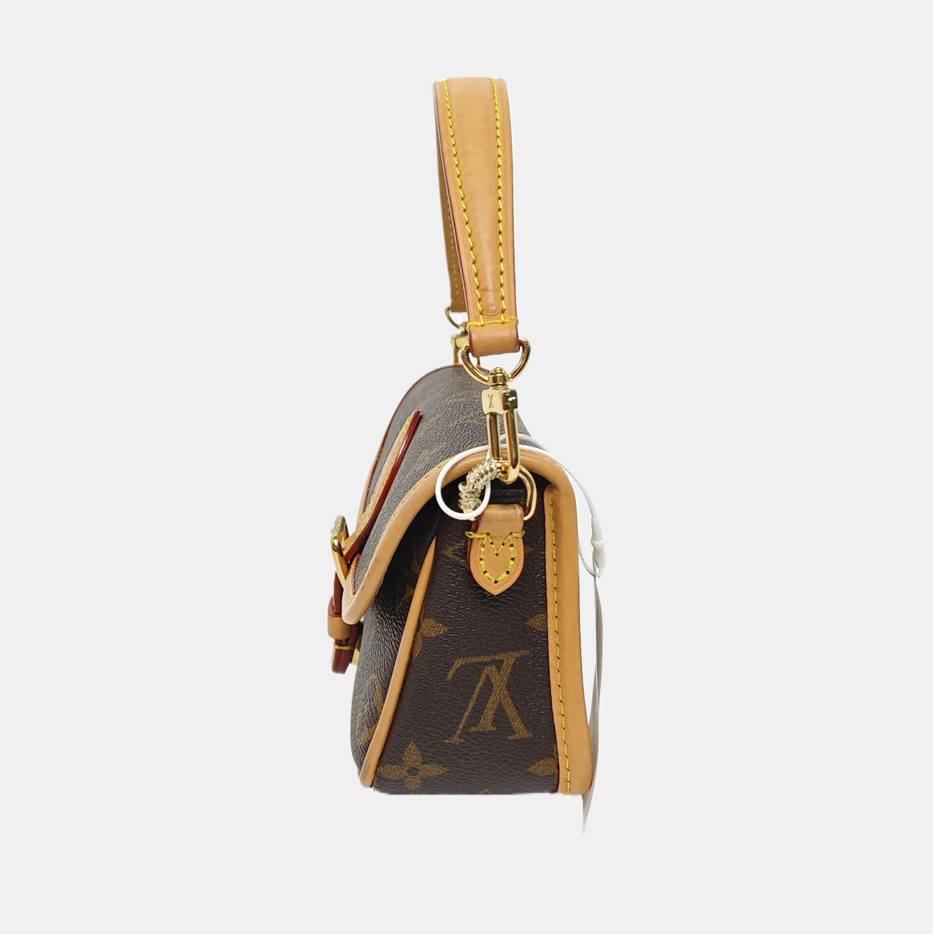 DIANE Nano Monogram Coated Canvas Brown