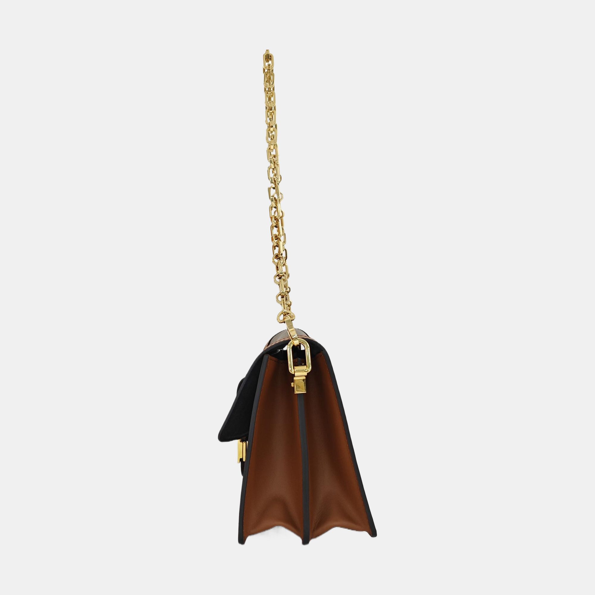 DAUPHINE MM Monogram Coated Canvas Brown