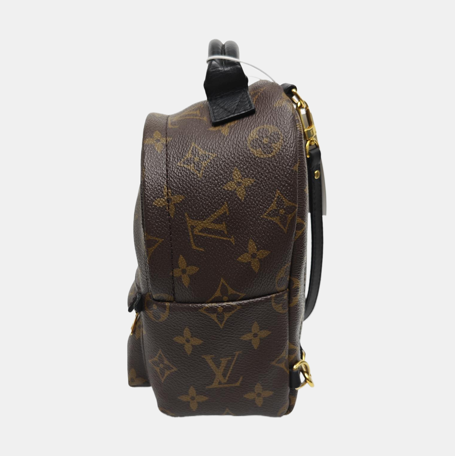 PALM SPRINGS Mini Monogram Coated Canvas Brown