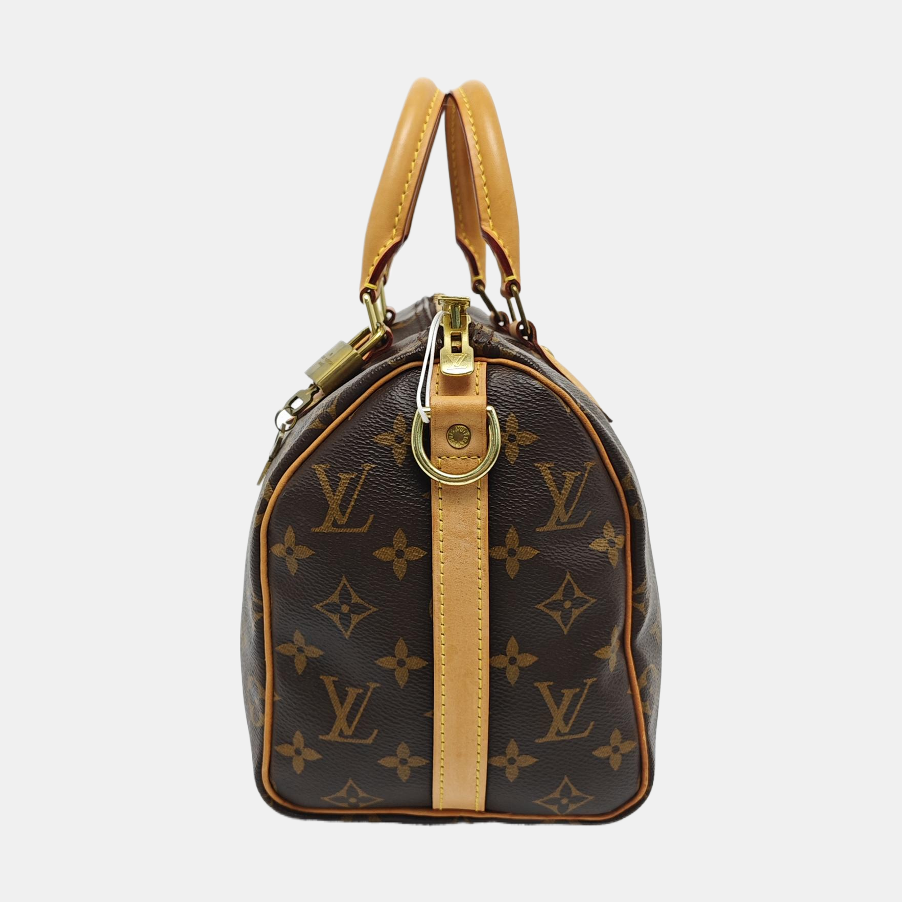 SPEEDY 25 Monogram Coated Canvas Brown