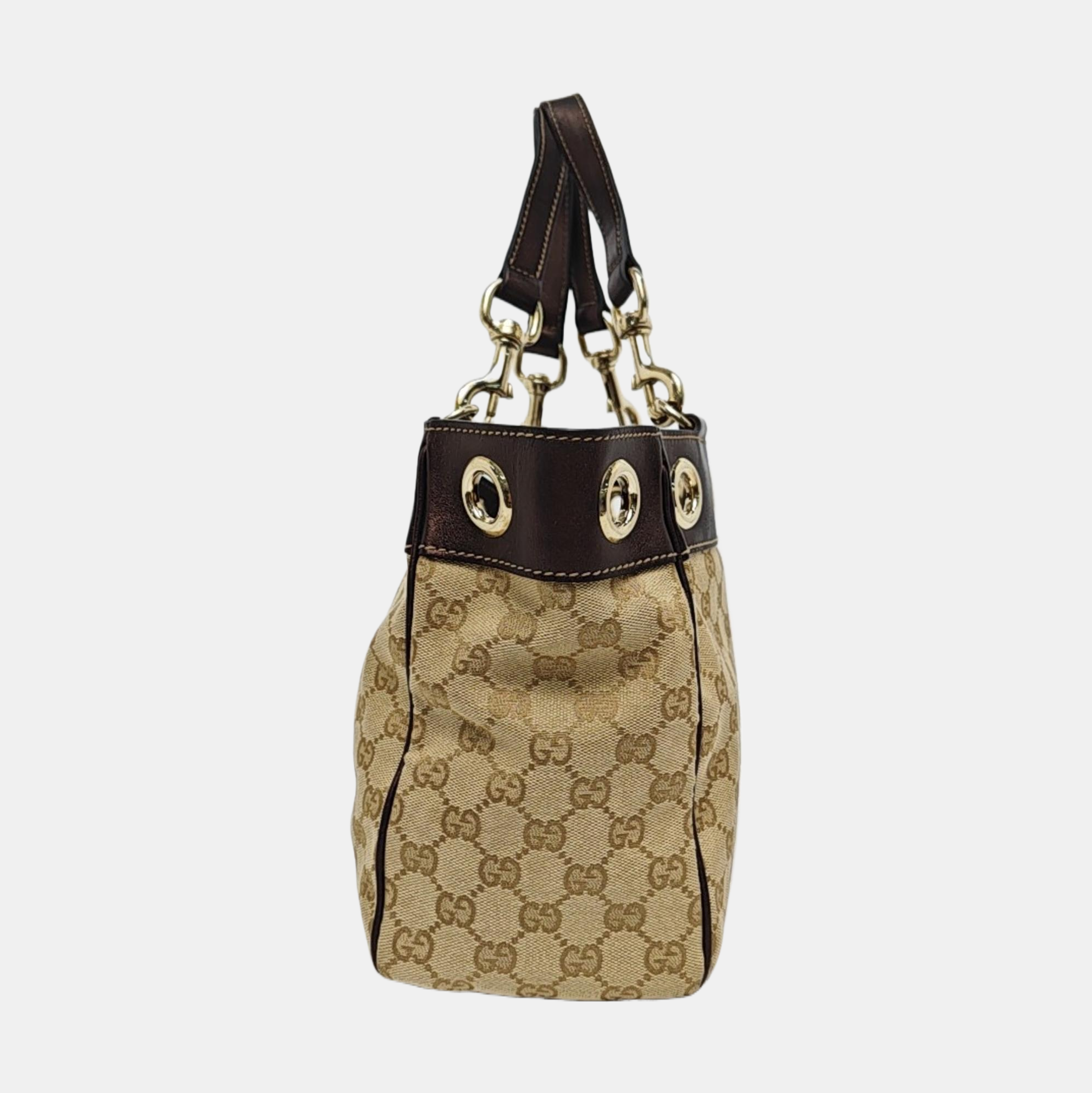 Positano Monogram Canvas Brown