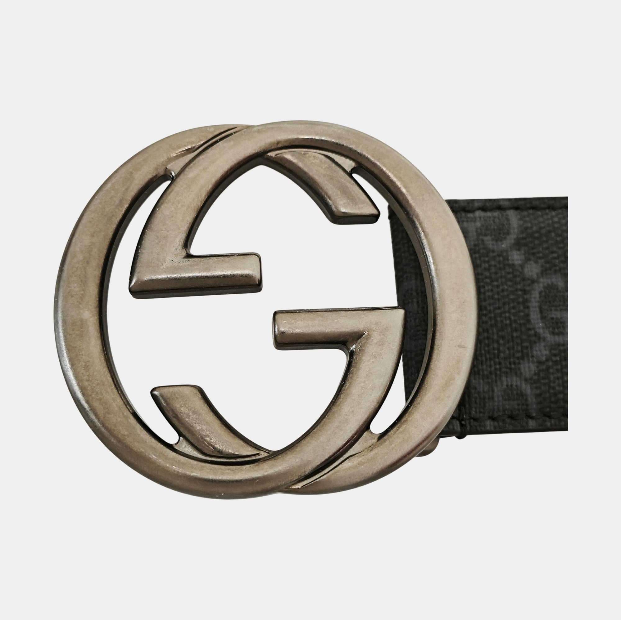 Coated Canvas Belt Black