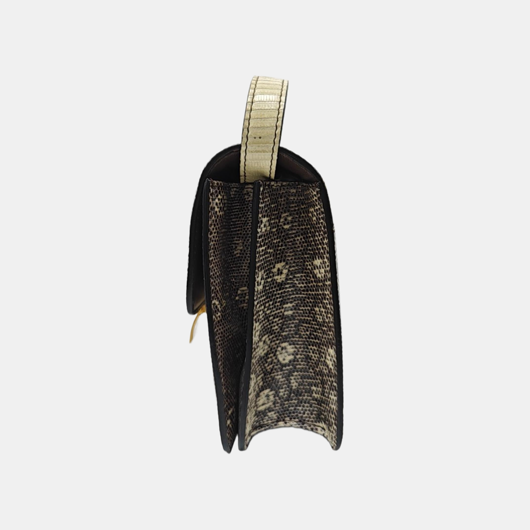 CLASSIC BOX Small Lizard Multicolor