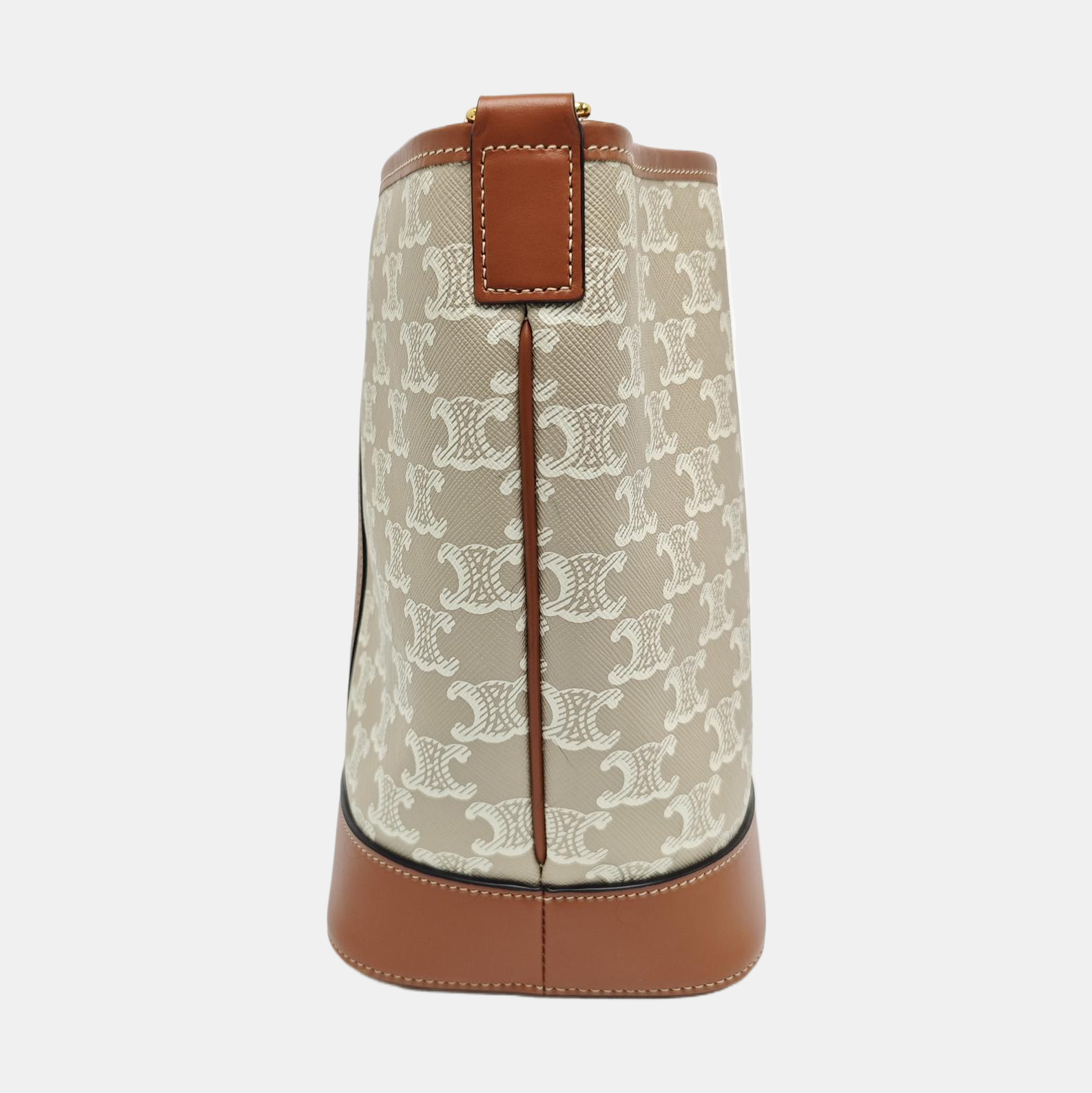 TRIOMPHE CANVAS Small Coated Canvas Beige