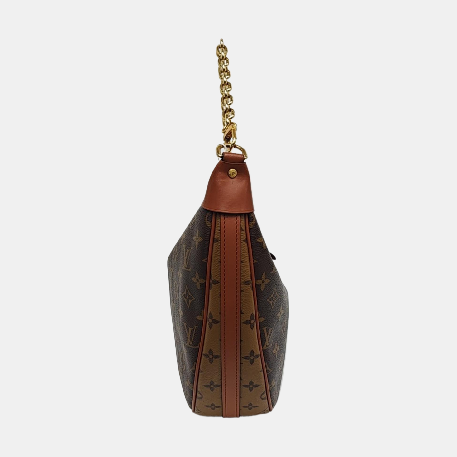 LOOP HOBO Monogram Coated Canvas Brown
