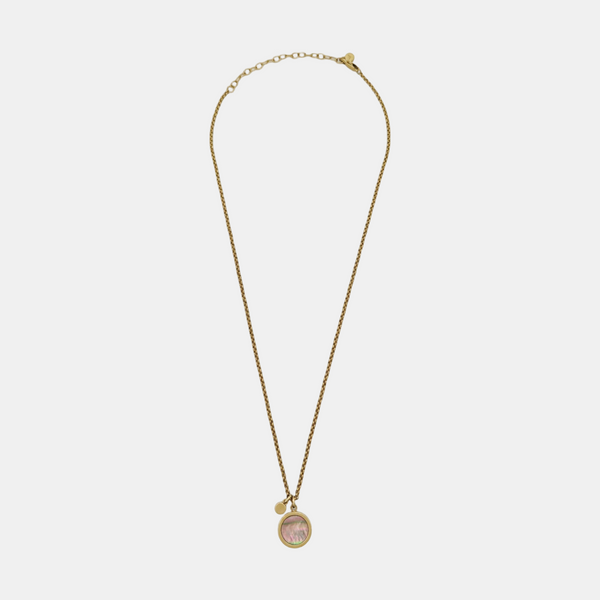 Steel Gold Necklace