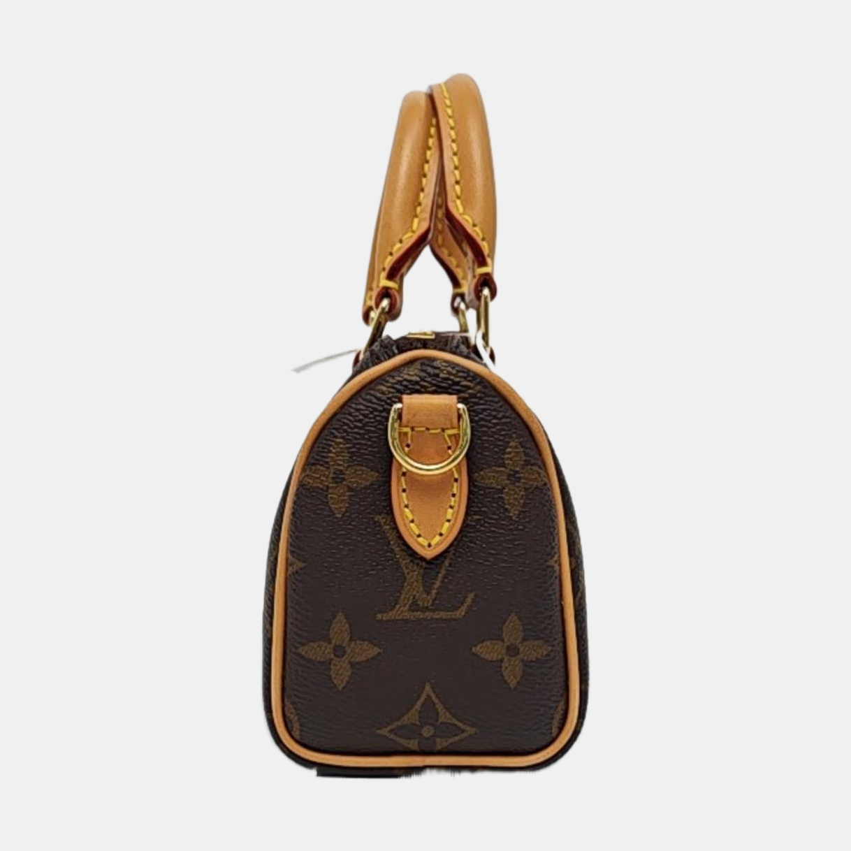 SPEEDY Nano Monogram Coated Canvas Brown