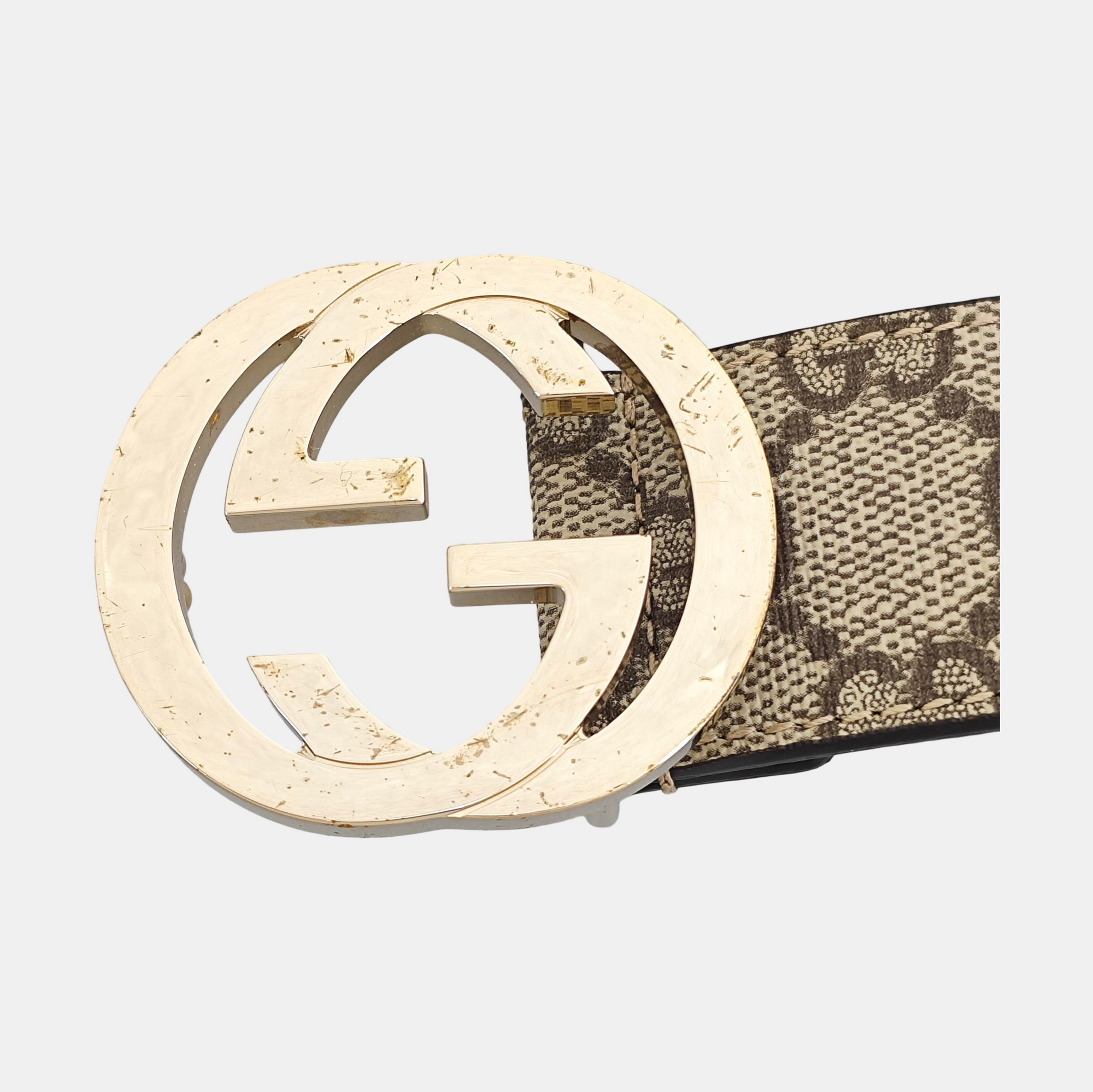 Coated Canvas Belt Beige