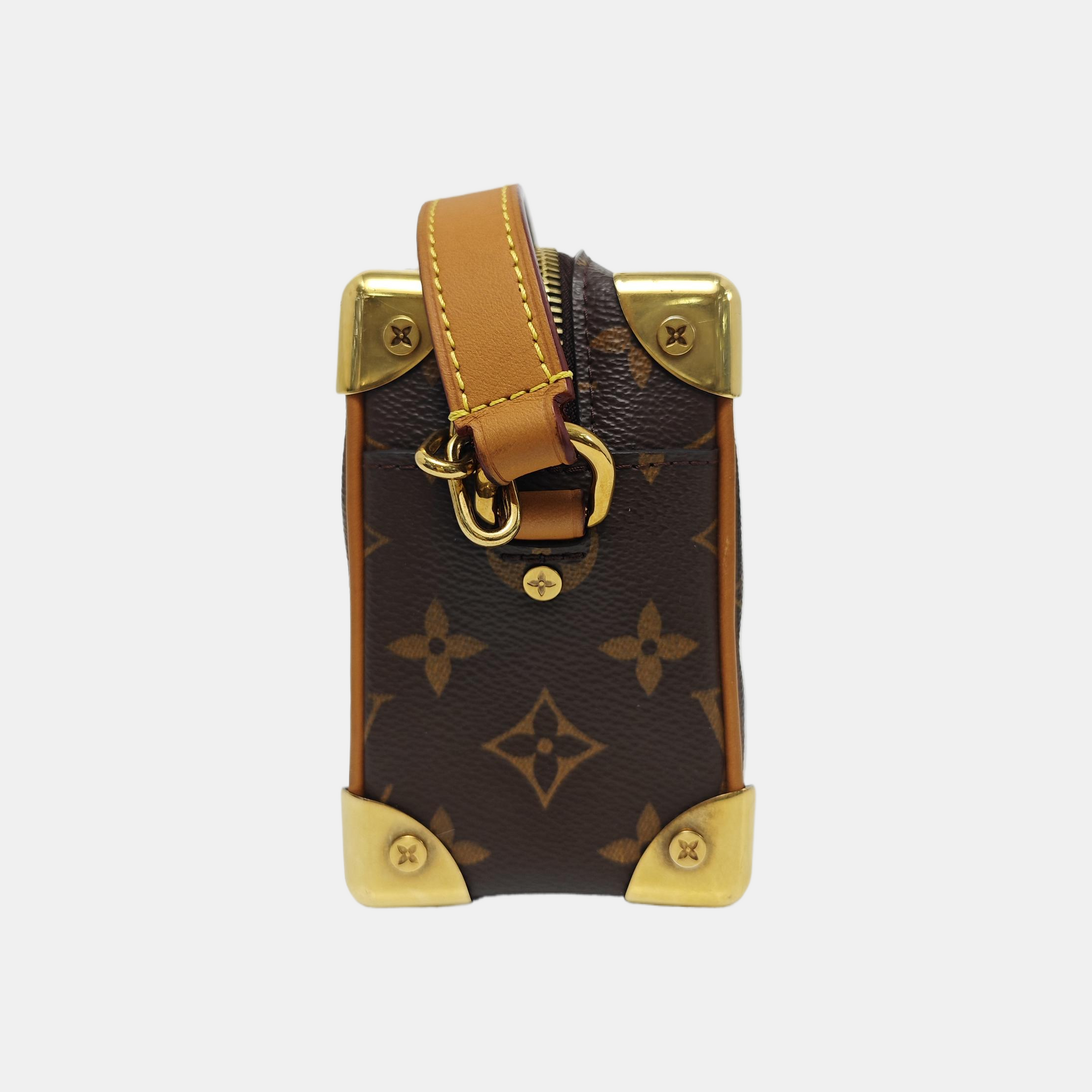 SOFT TRUNK Mini Monogram Coated Canvas Brown