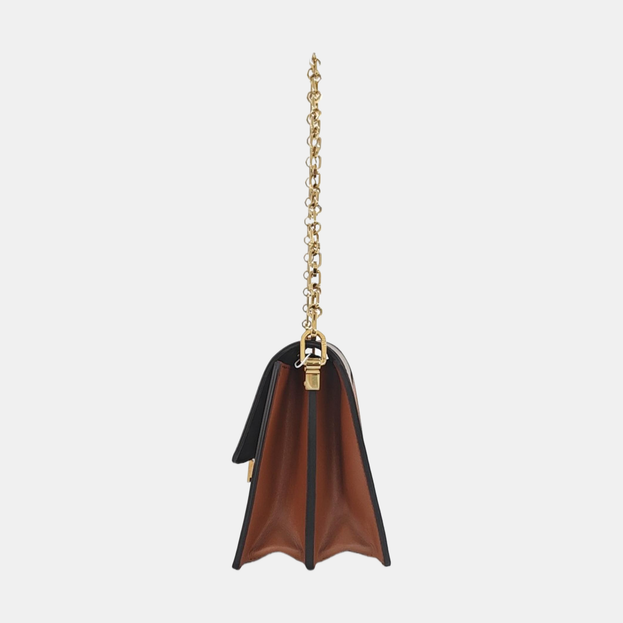 DAUPHINE MM Monogram Coated Canvas Brown