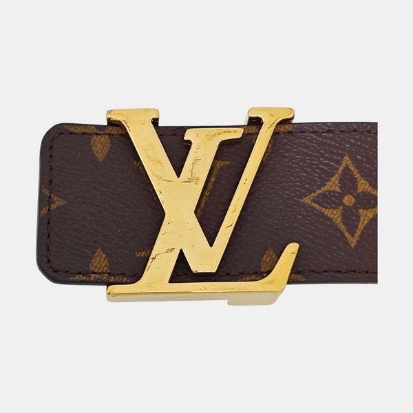 Coated Canvas Belt Brown