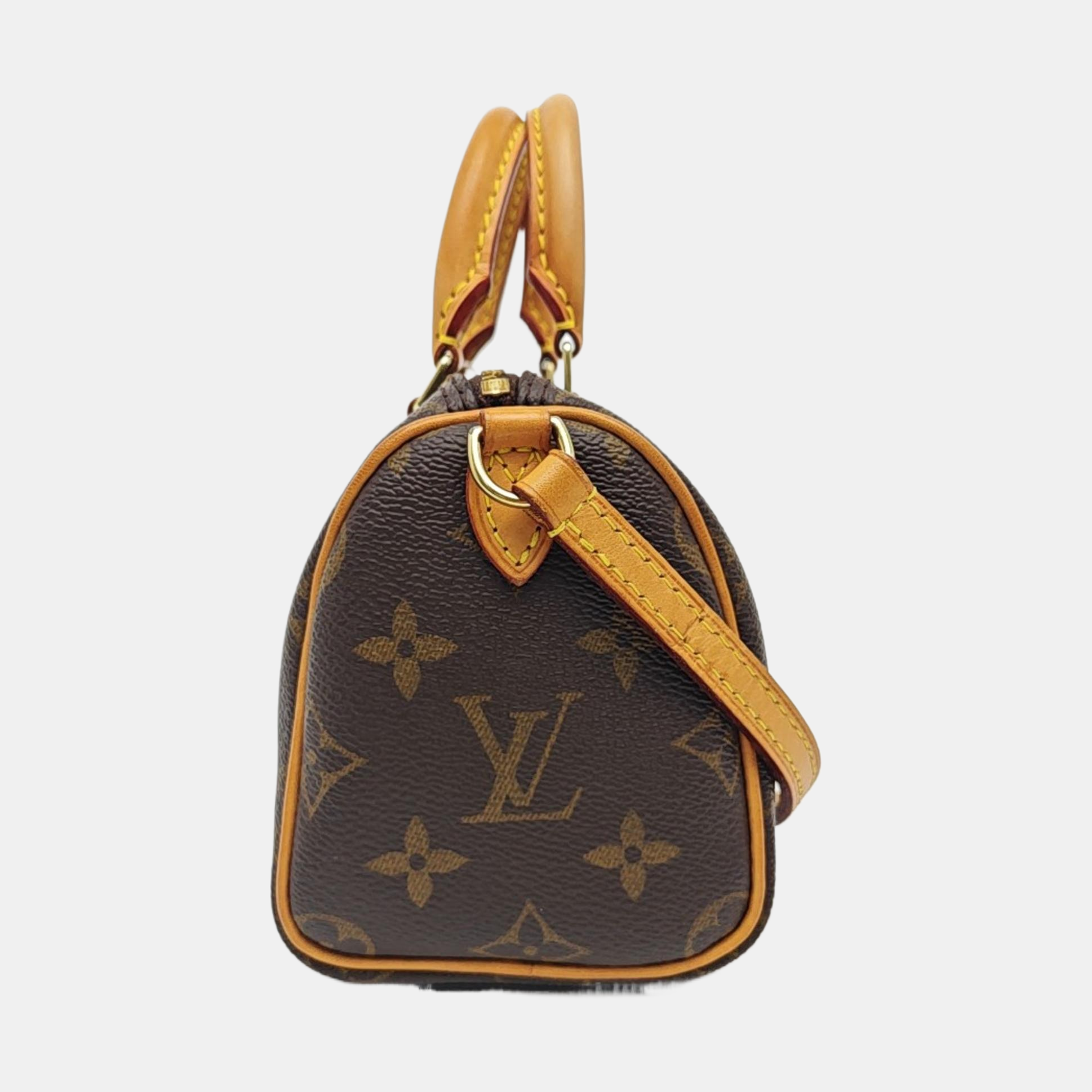 SPEEDY Nano Monogram Coated Canvas Brown