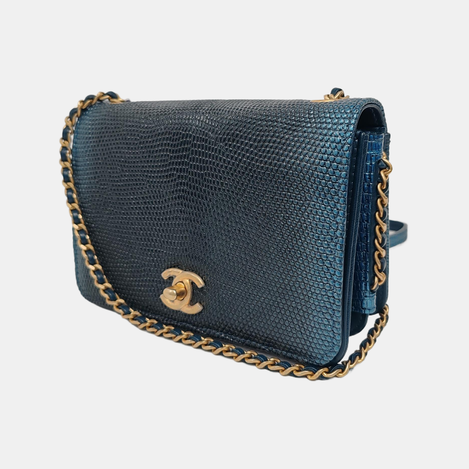 Lizard Blue