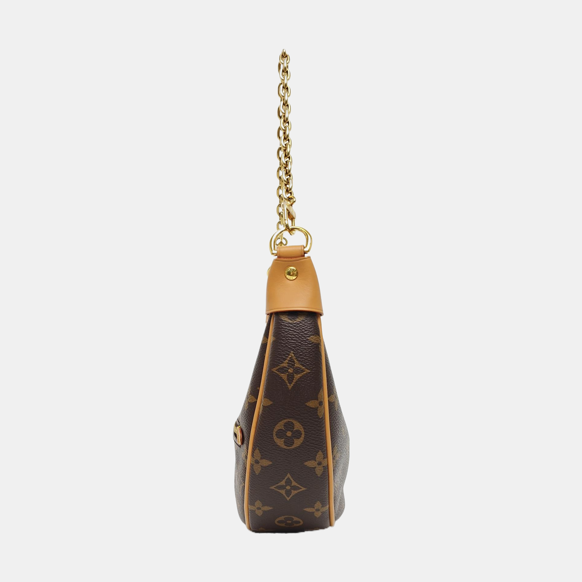 LOOP Monogram Coated Canvas Brown