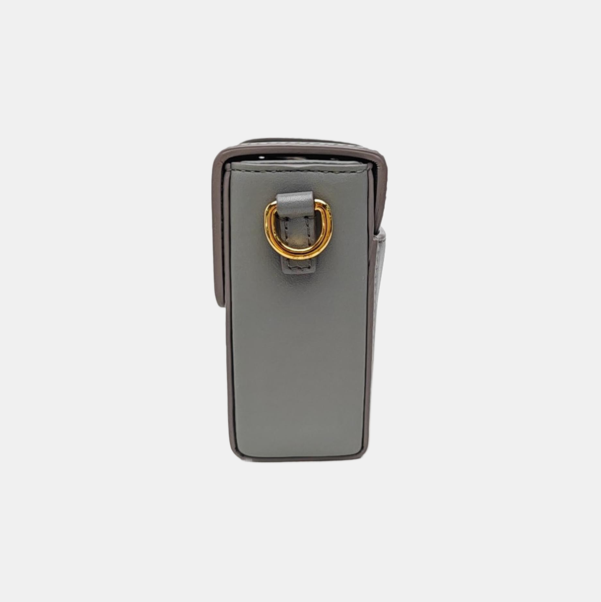 30 Montaigne Mini Calfskin Gray