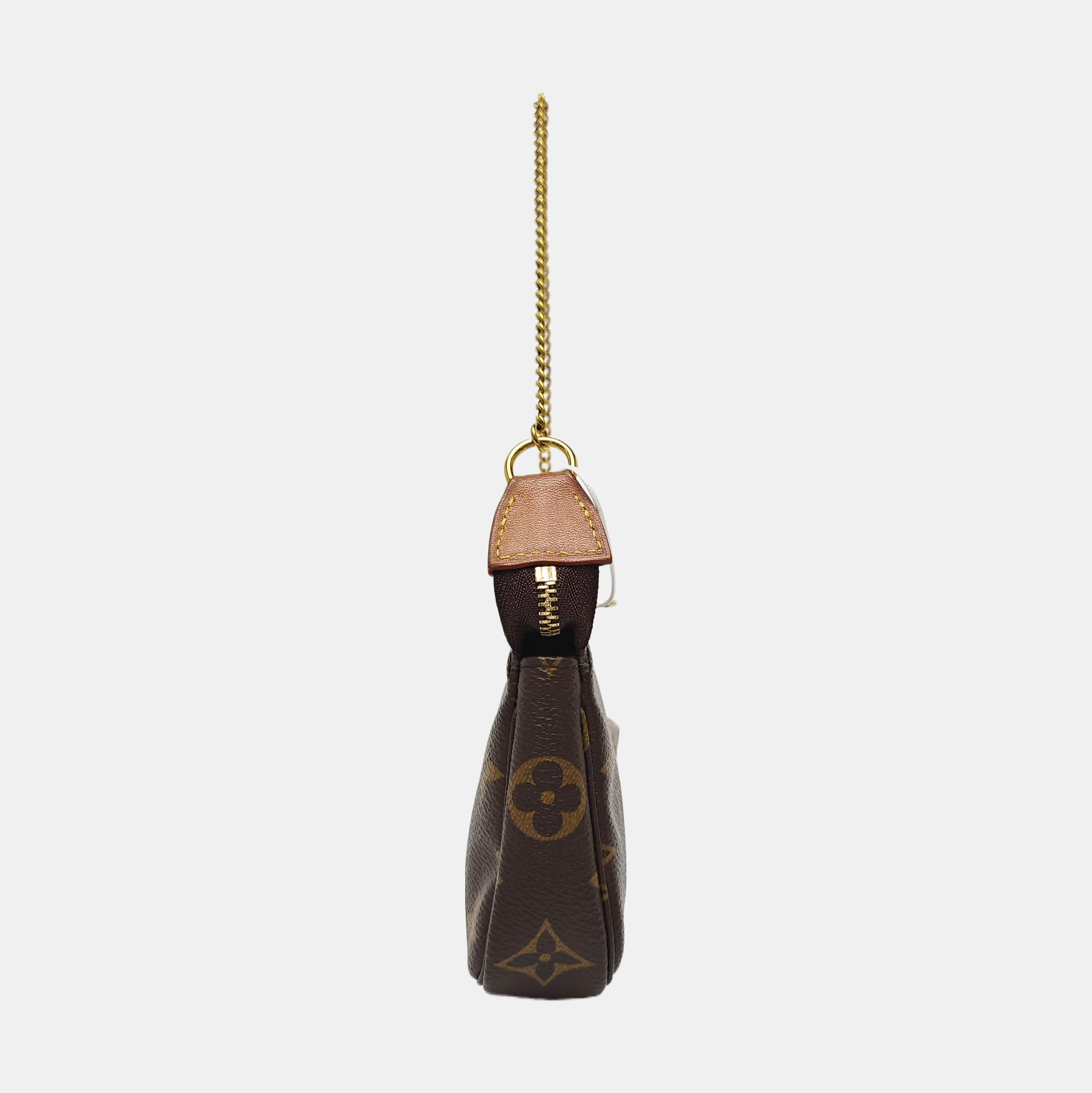 ACCESSOIRES Mini Monogram Coated Canvas Brown