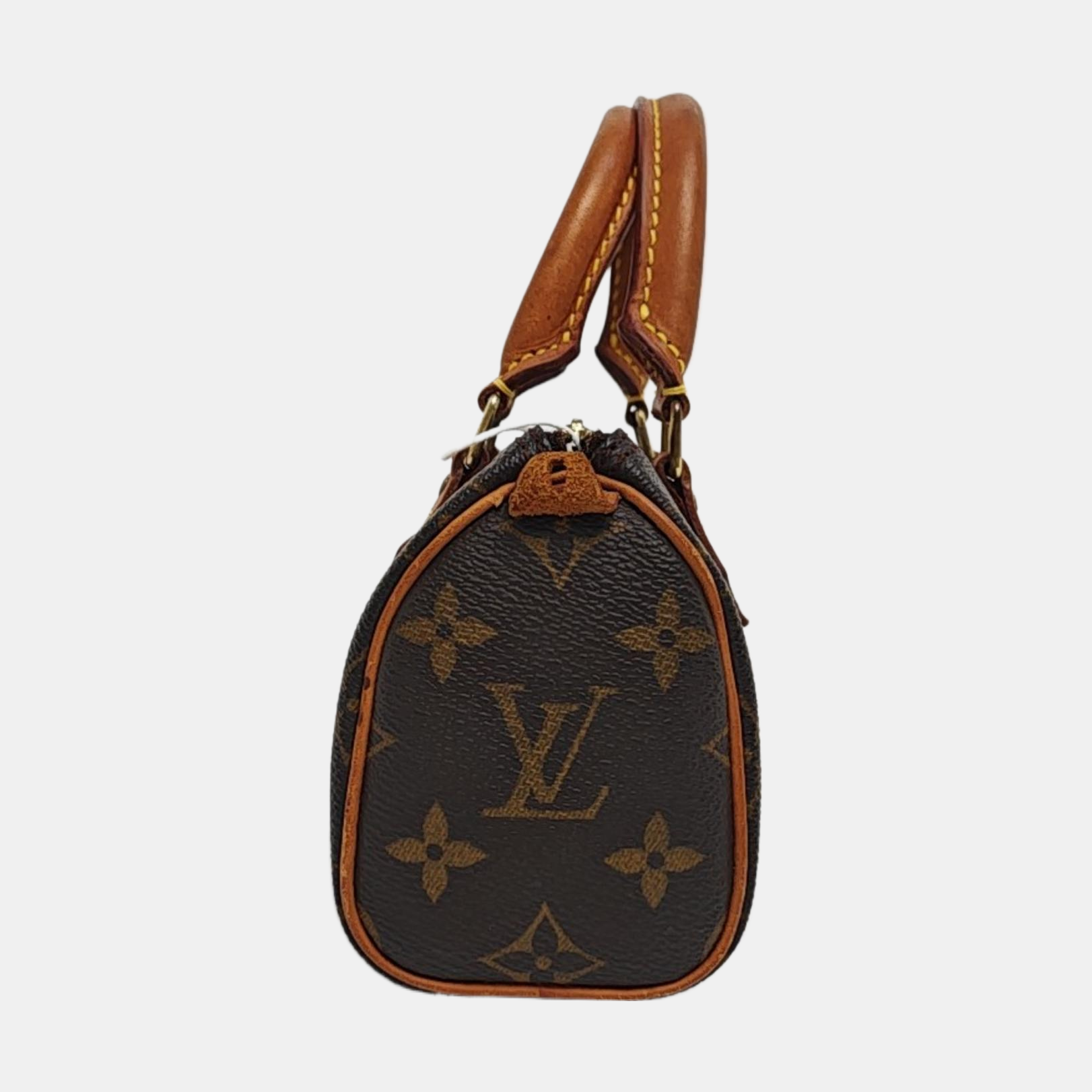 SPEEDY Nano Monogram Coated Canvas Brown