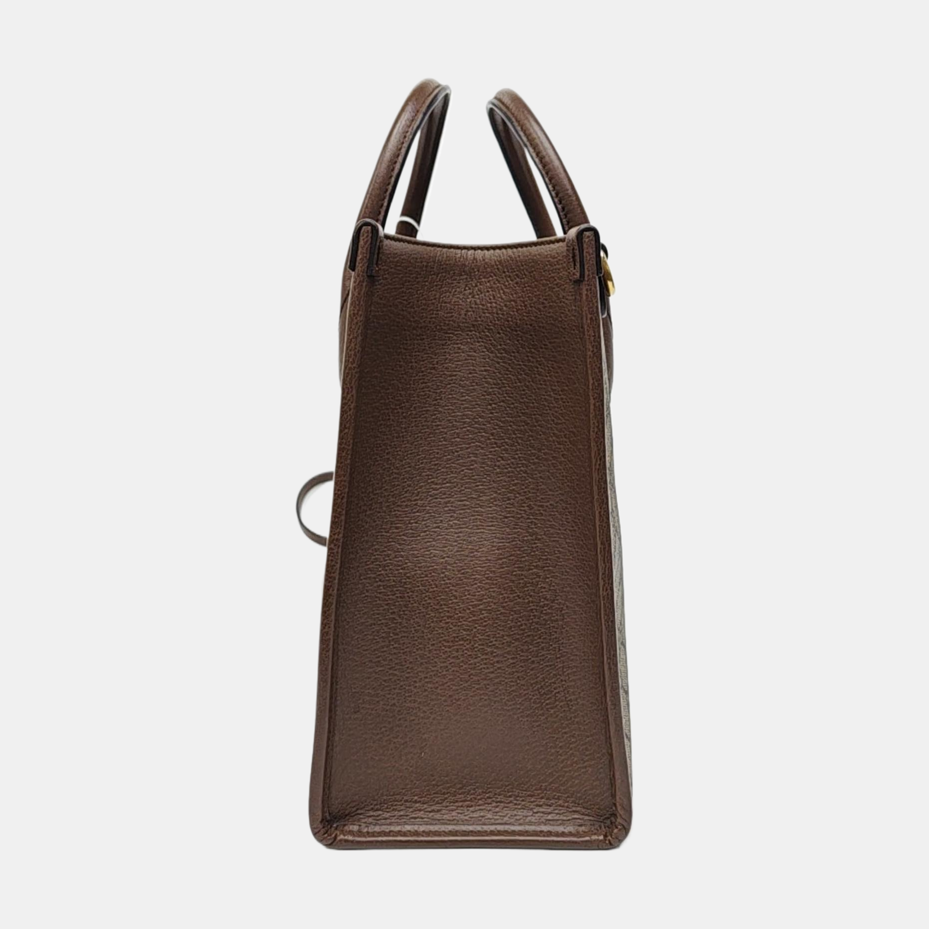 Disney X Gucci Monogram Coated Canvas Beige