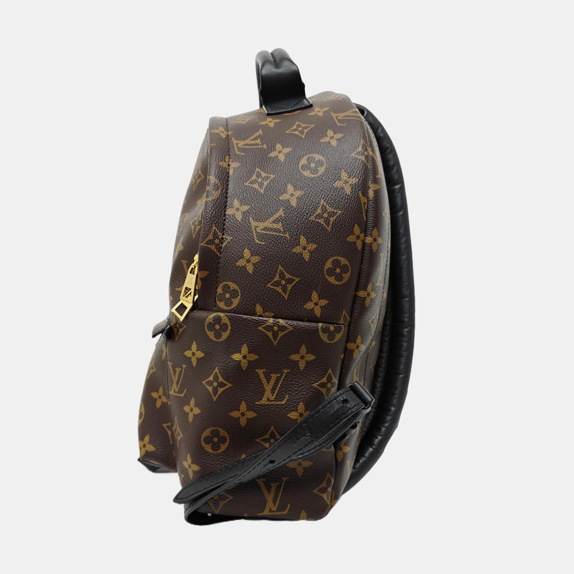 Monogram Coated Canvas Backpack Brown