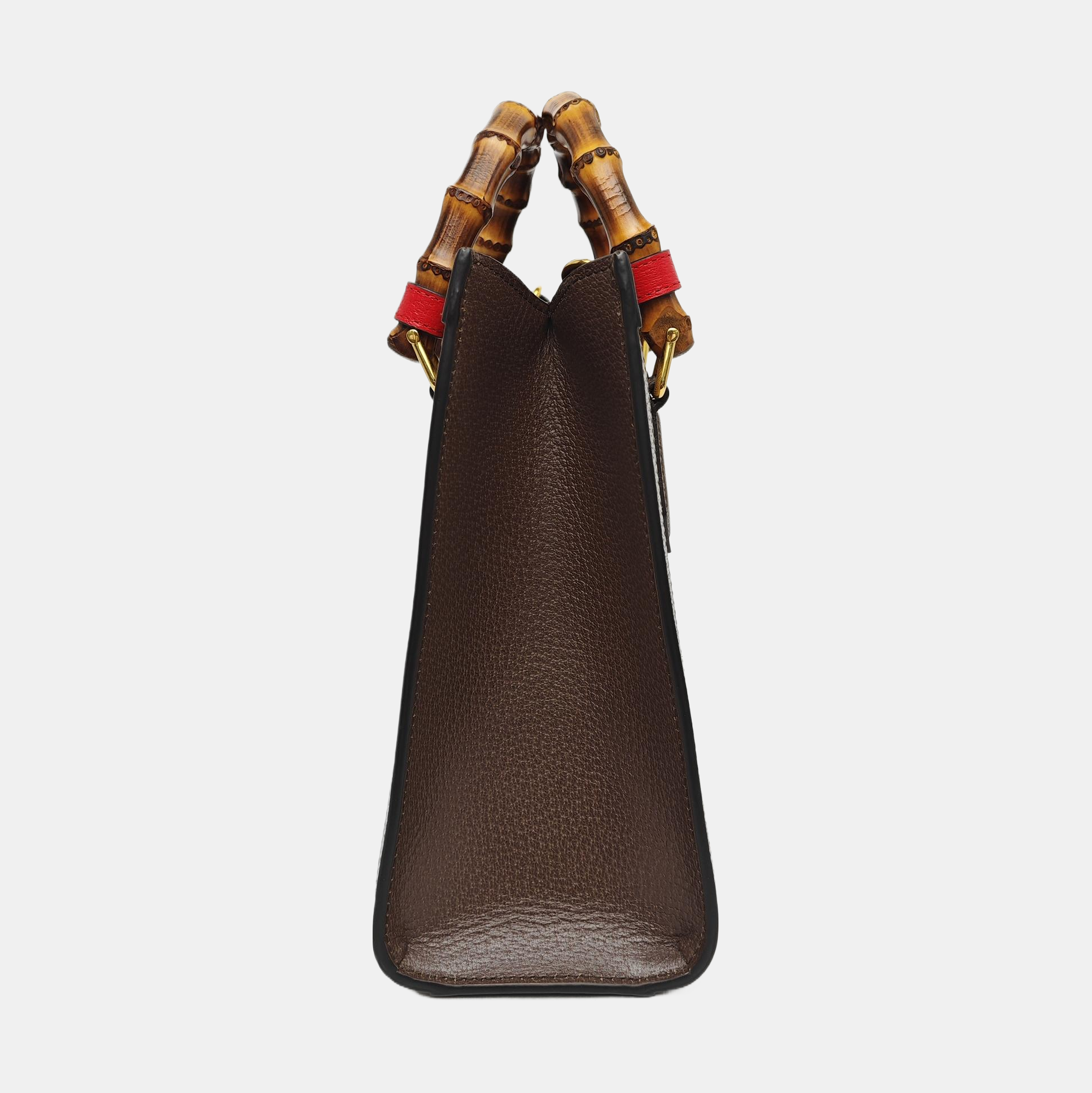 Diana Small Canvas Beige