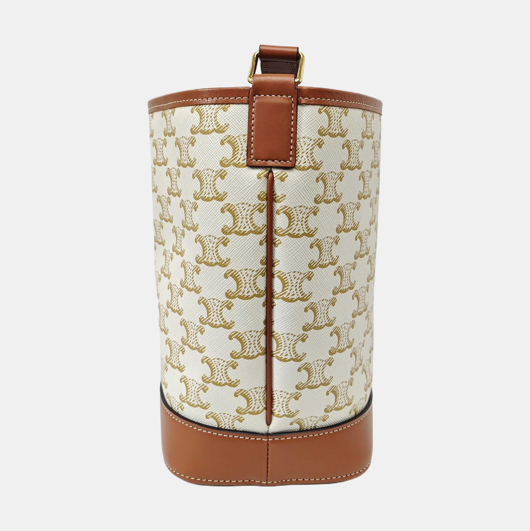 TRIOMPHE CANVAS Small Coated Canvas Beige